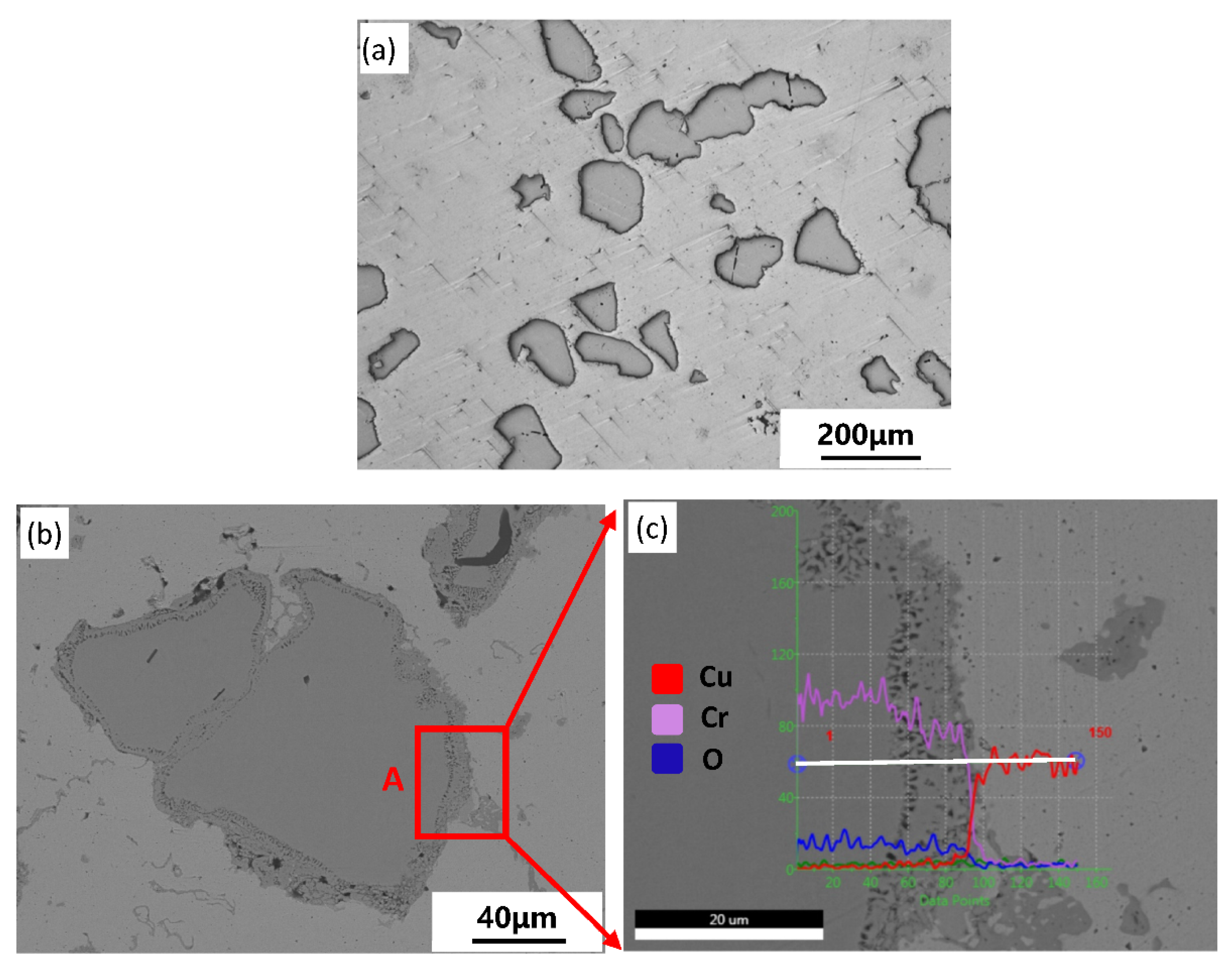 Materials 14 03417 g005