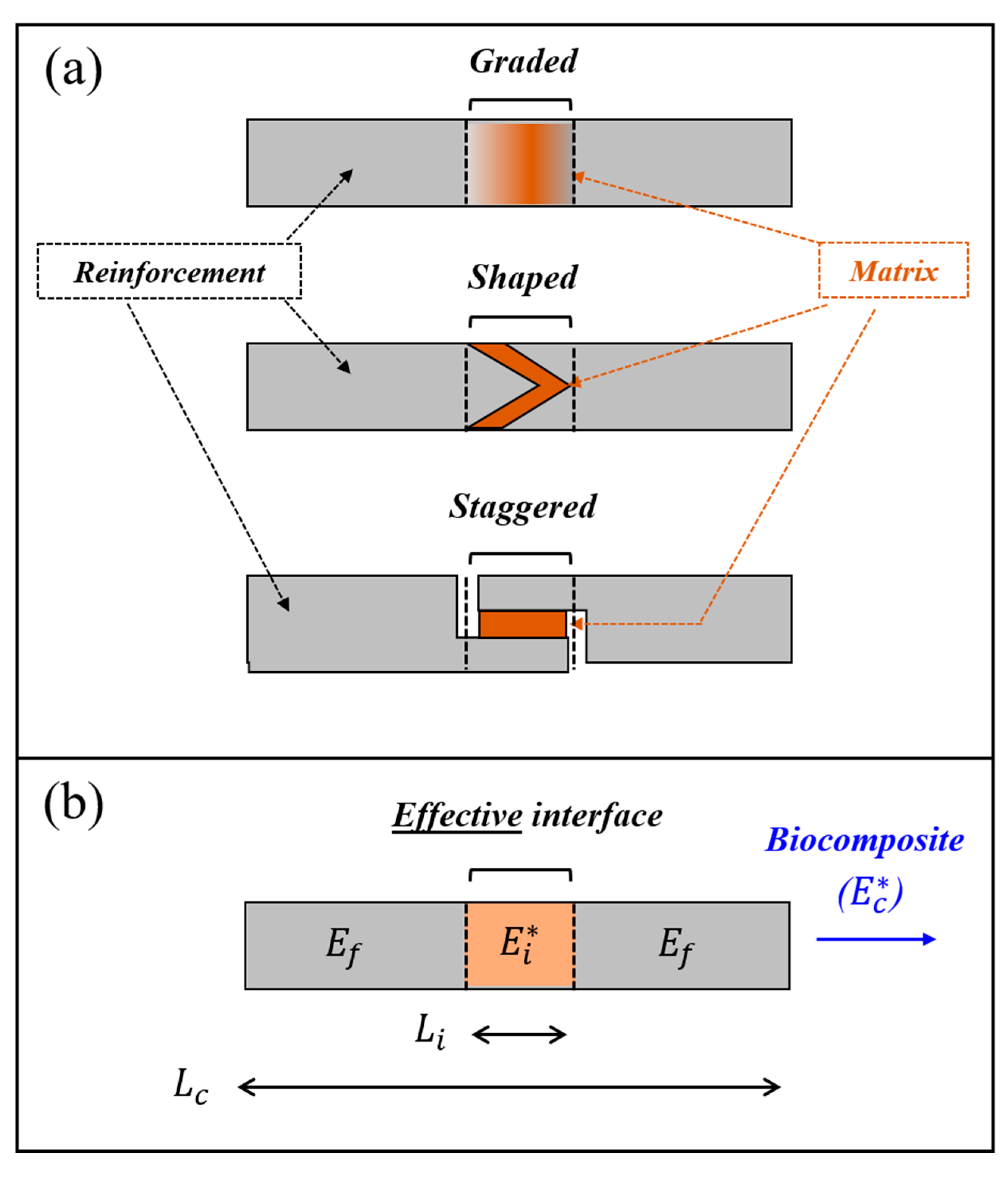 materials free full text assessing the interfacial dynamic modulus of biological composites html
