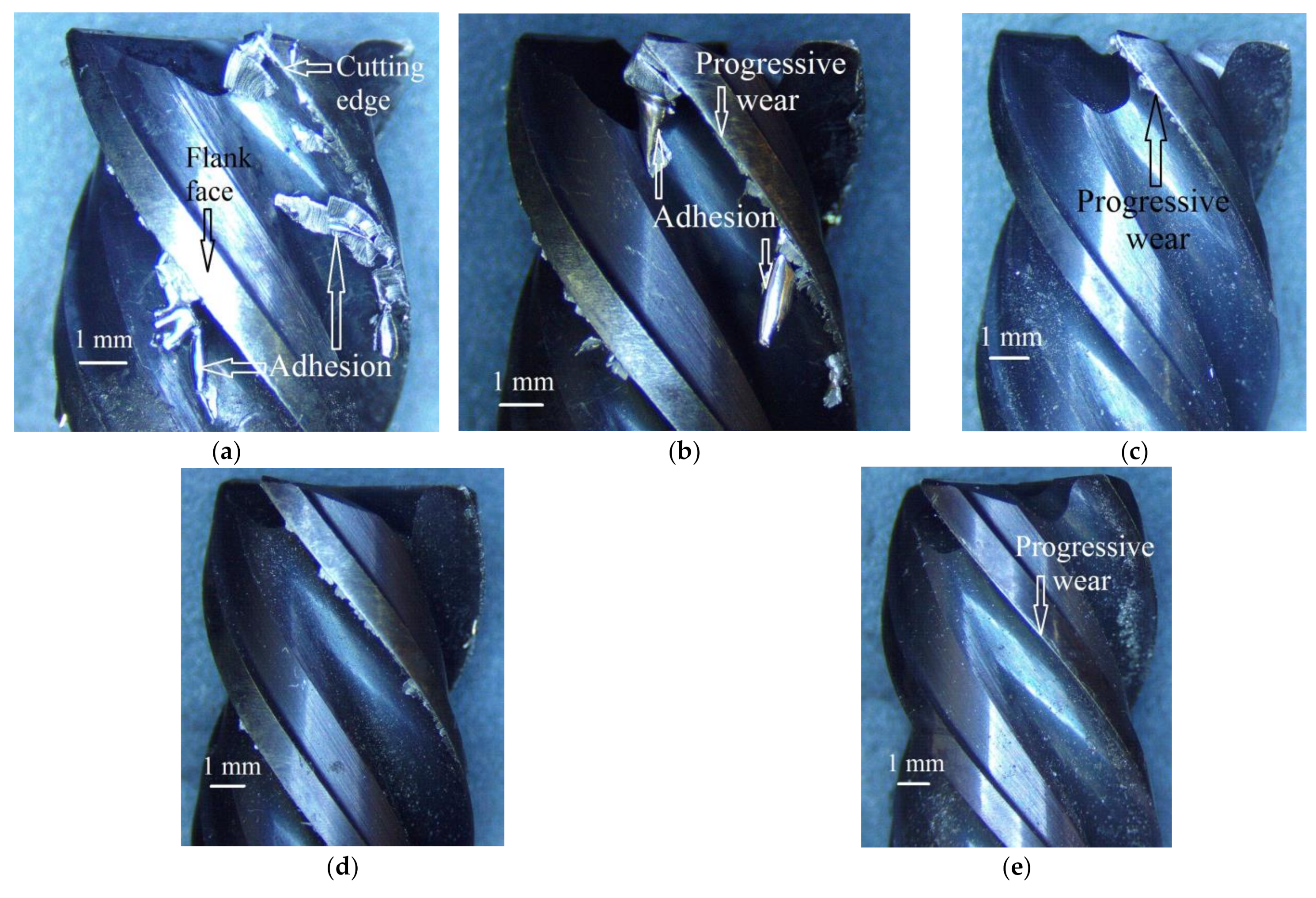 Materials 14 03429 g003 550