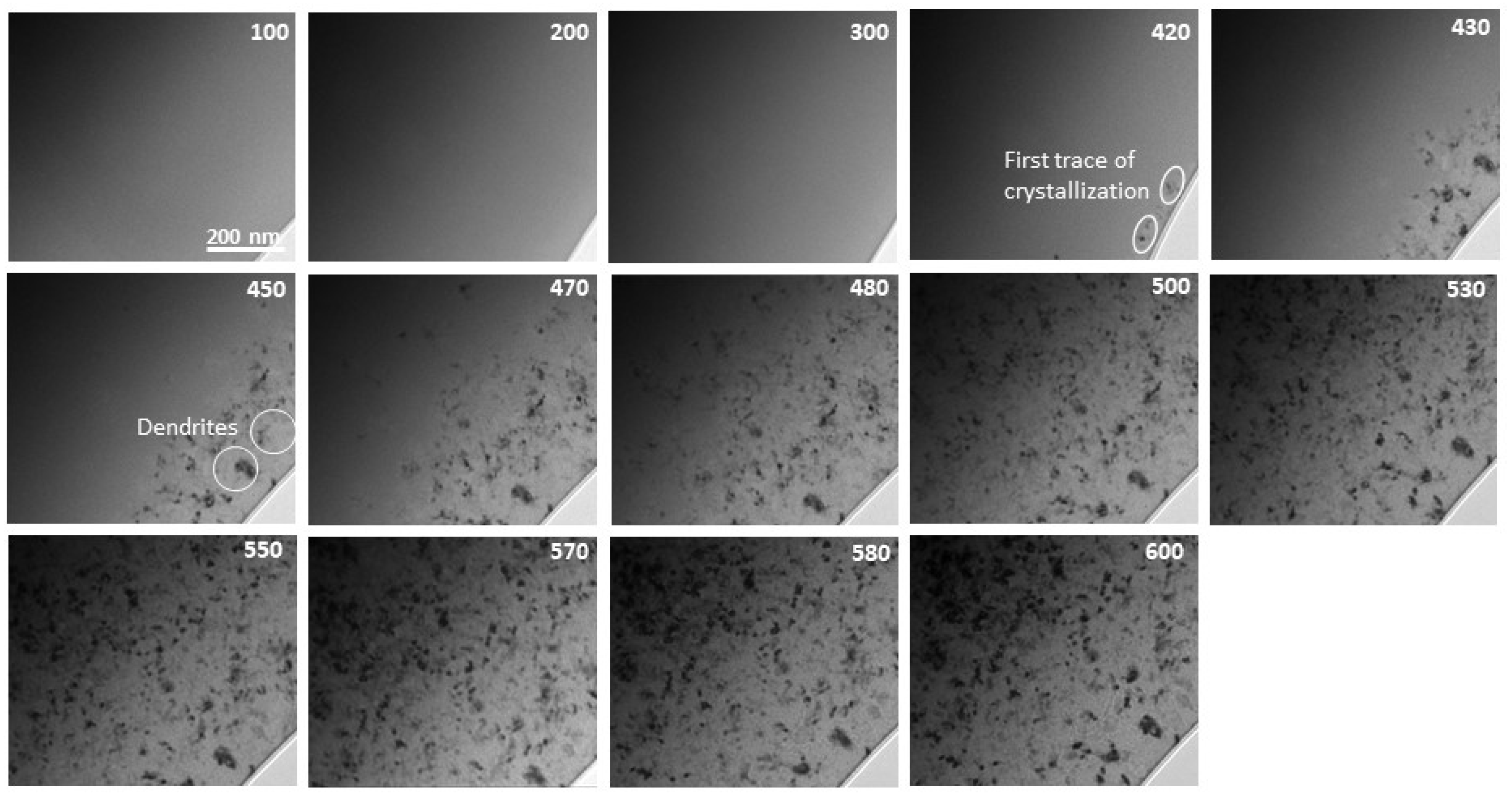 Materials 14 03433 g005