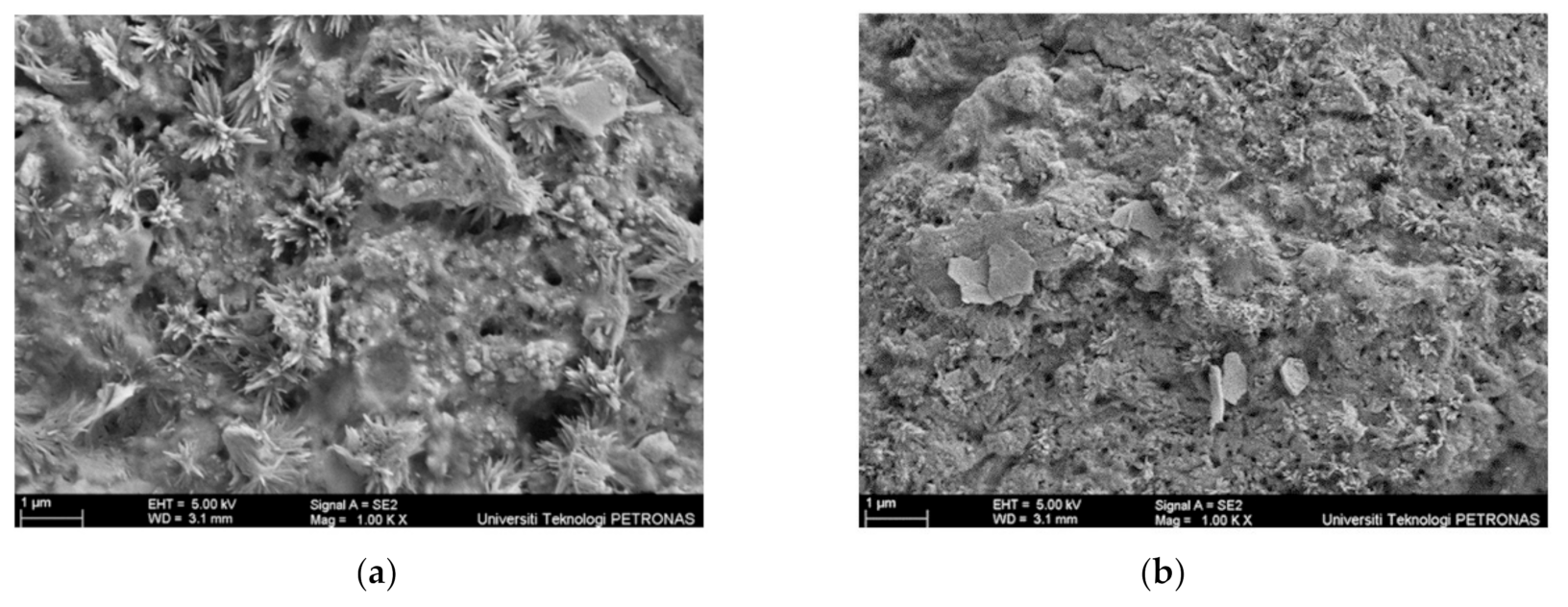 Materials 14 03440 g008 550