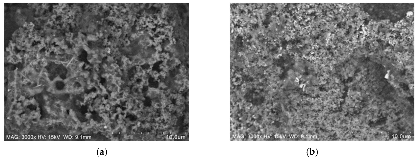 Materials 14 03440 g009 550