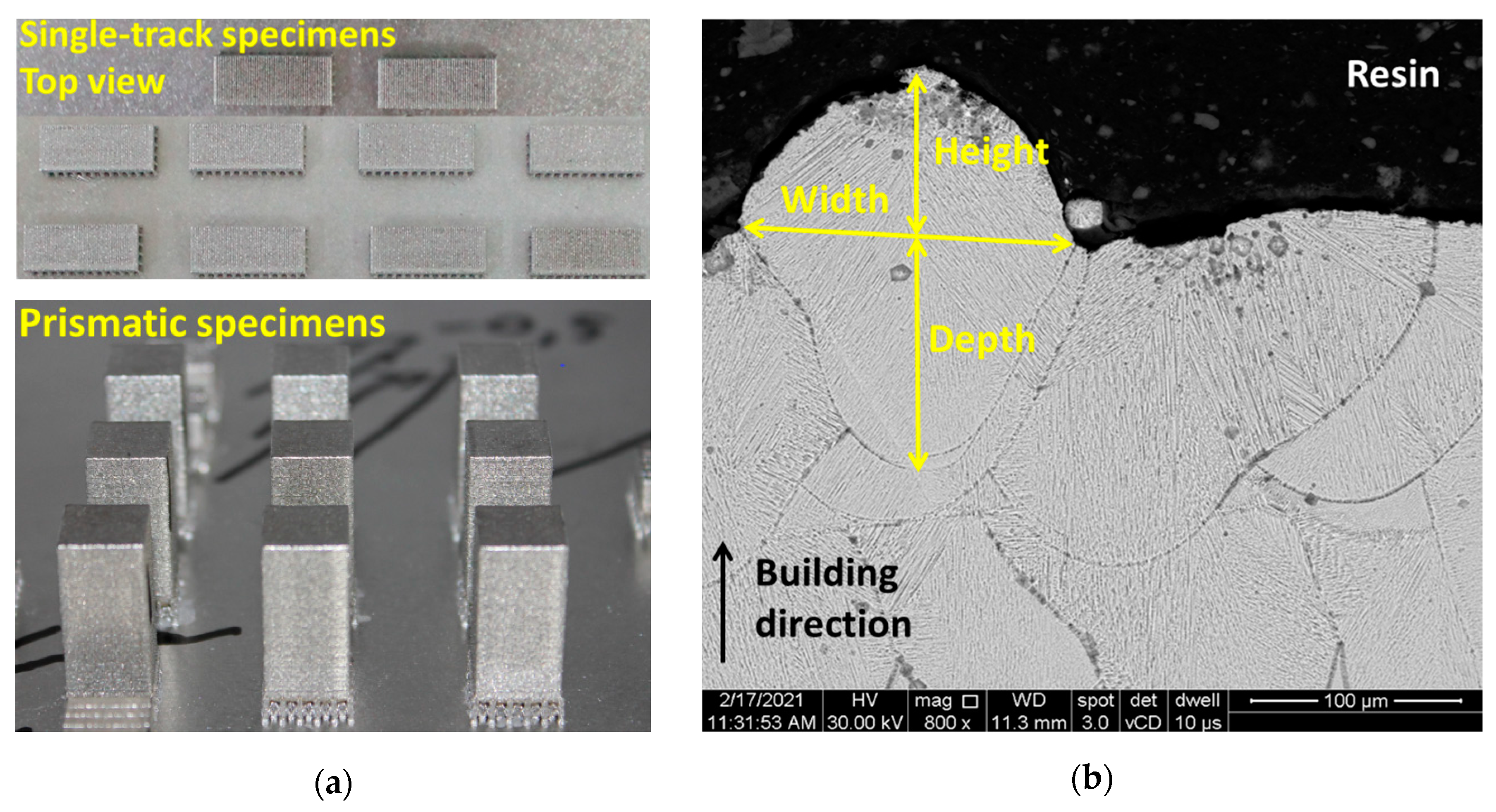 Materials 14 03447 g001