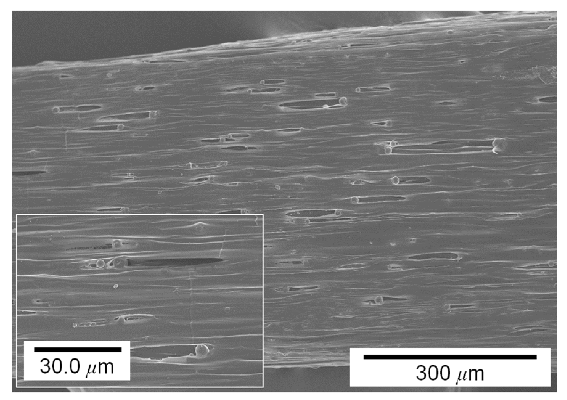 Materials 14 03460 g011 550