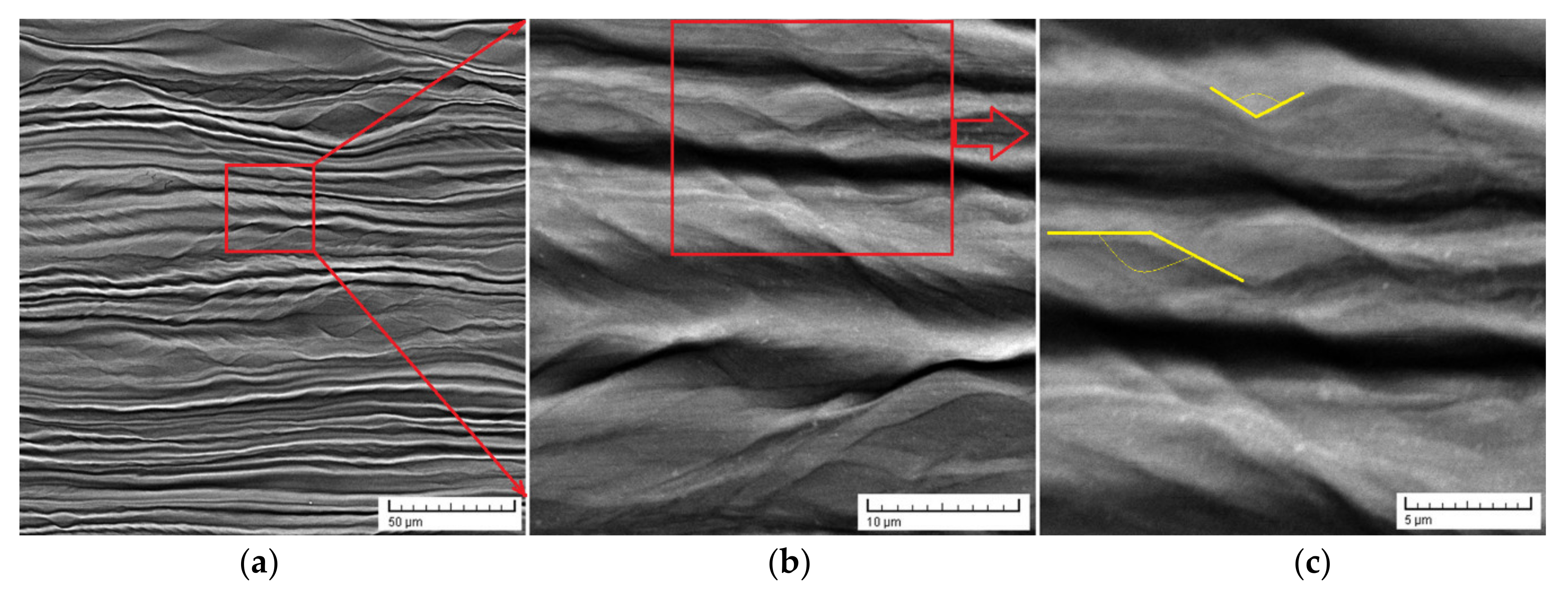 Materials 14 03467 g005