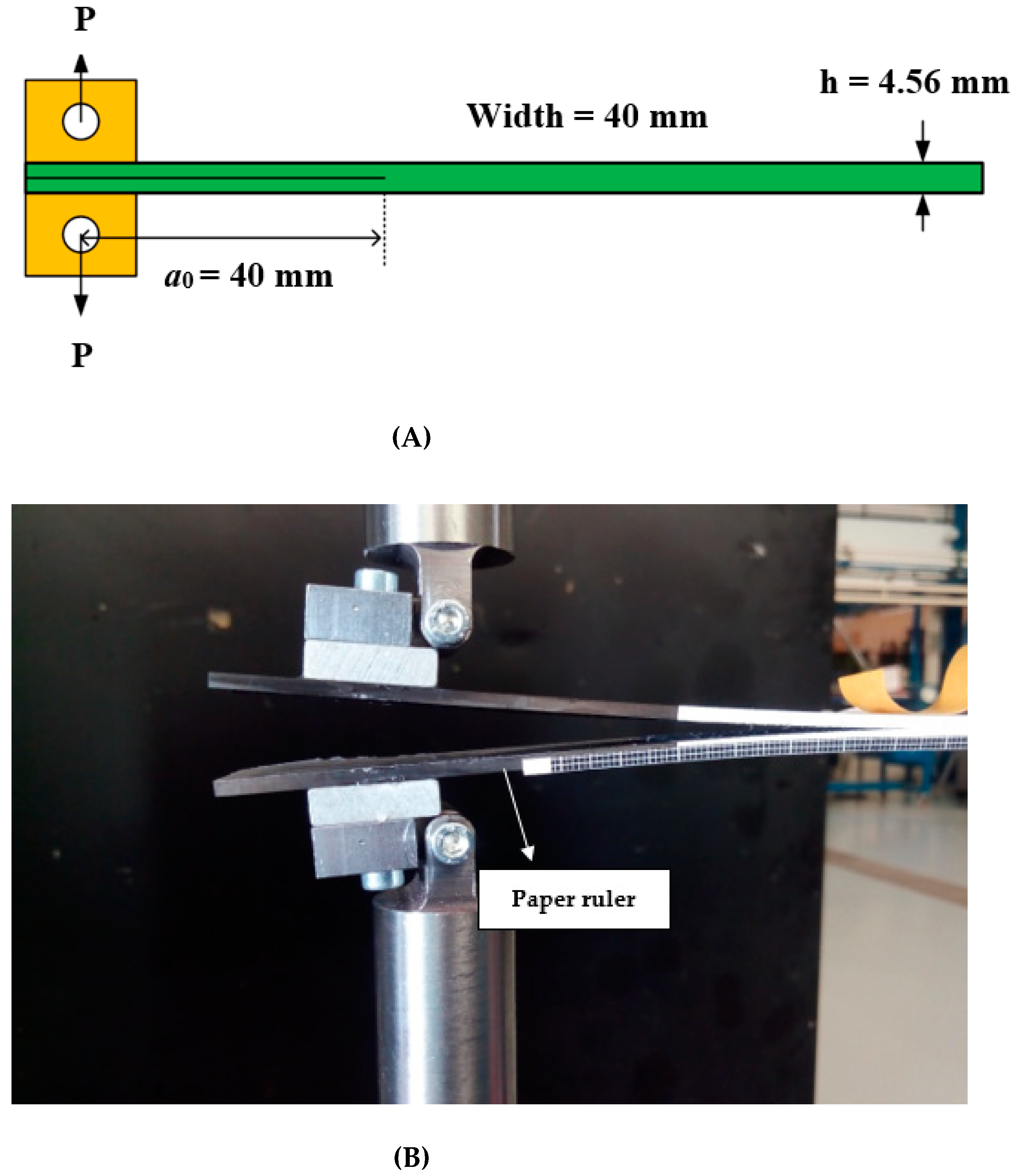 Materials 14 03469 g002