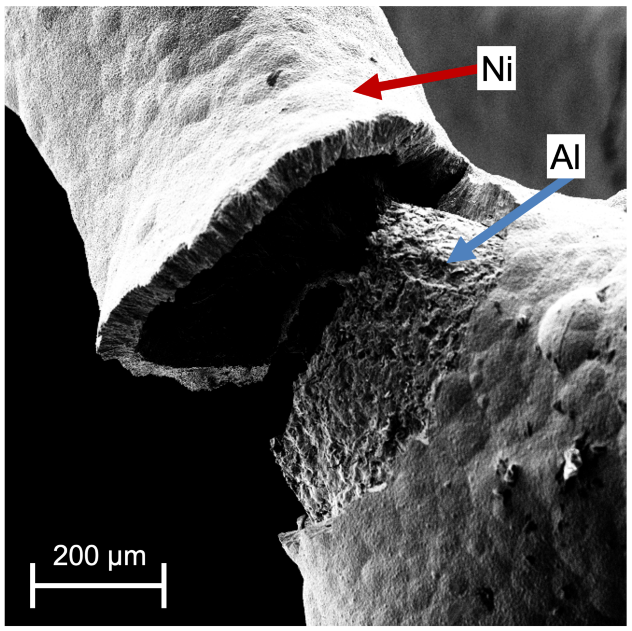 Materials 14 03473 g001 Materials 14 03473 g001