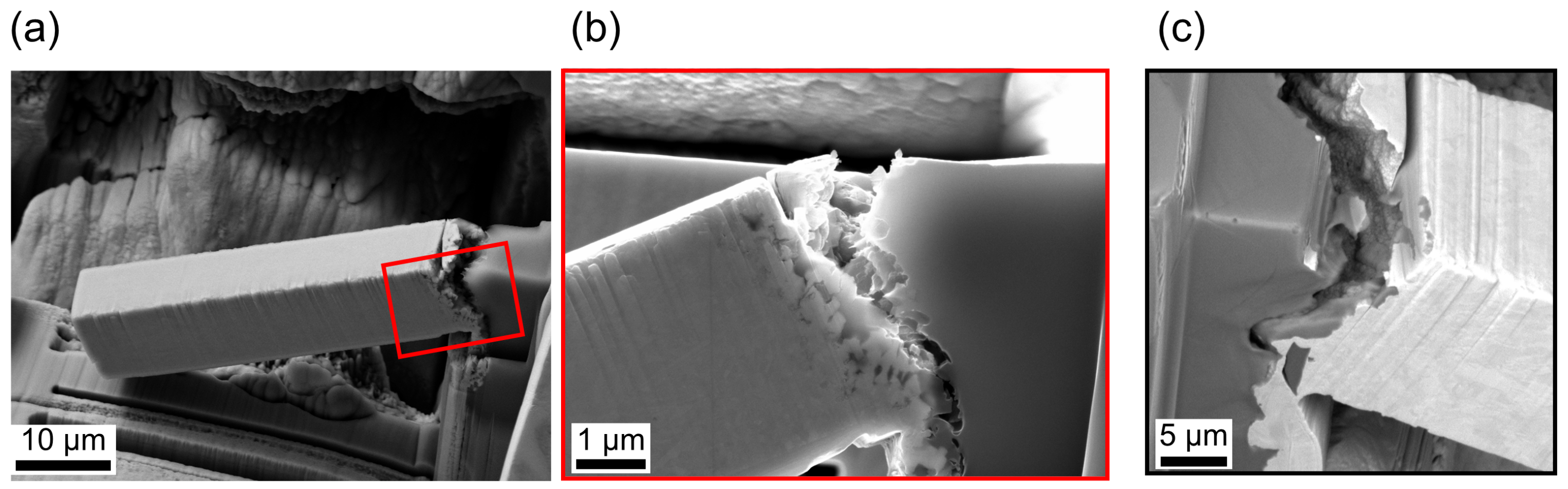 Materials 14 03473 g010 Materials 14 03473 g010