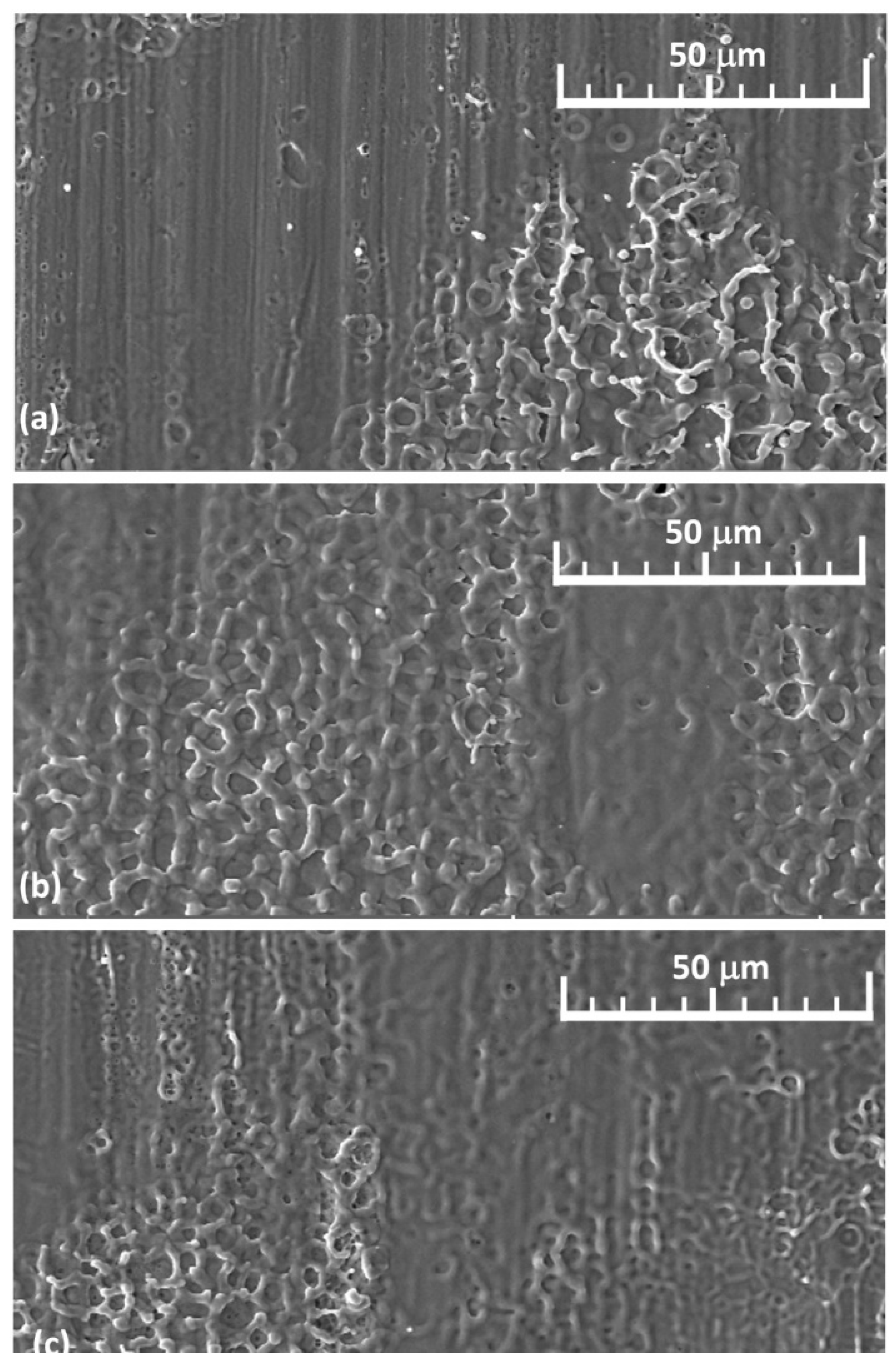 Materials 14 03485 g0a1 Materials 14 03485 g0a1