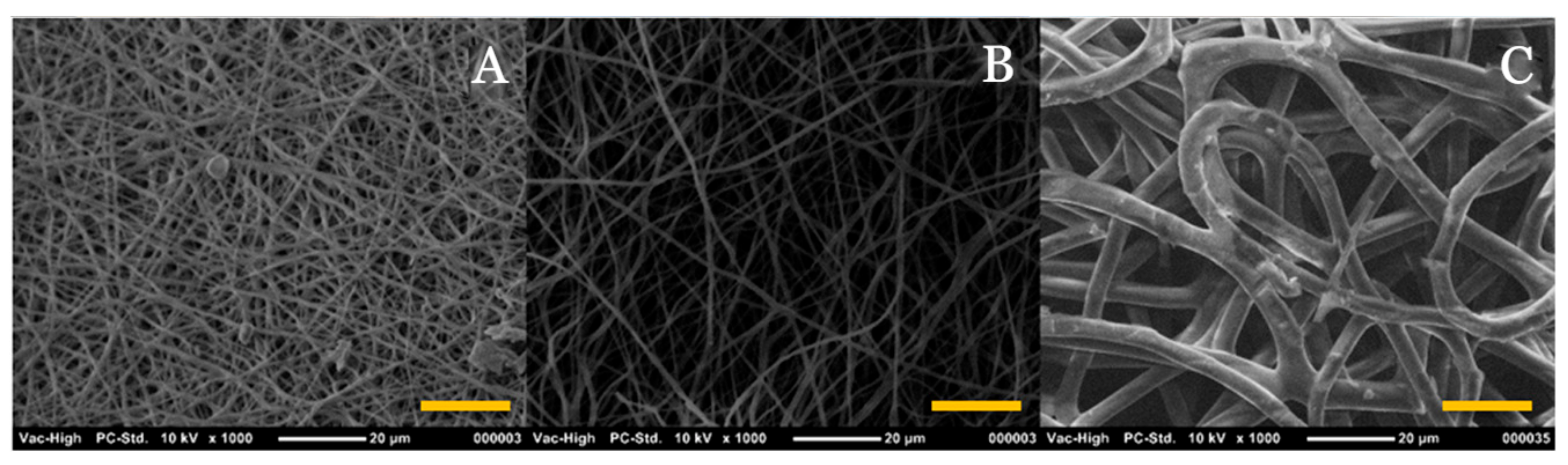 Materials 14 03497 g005