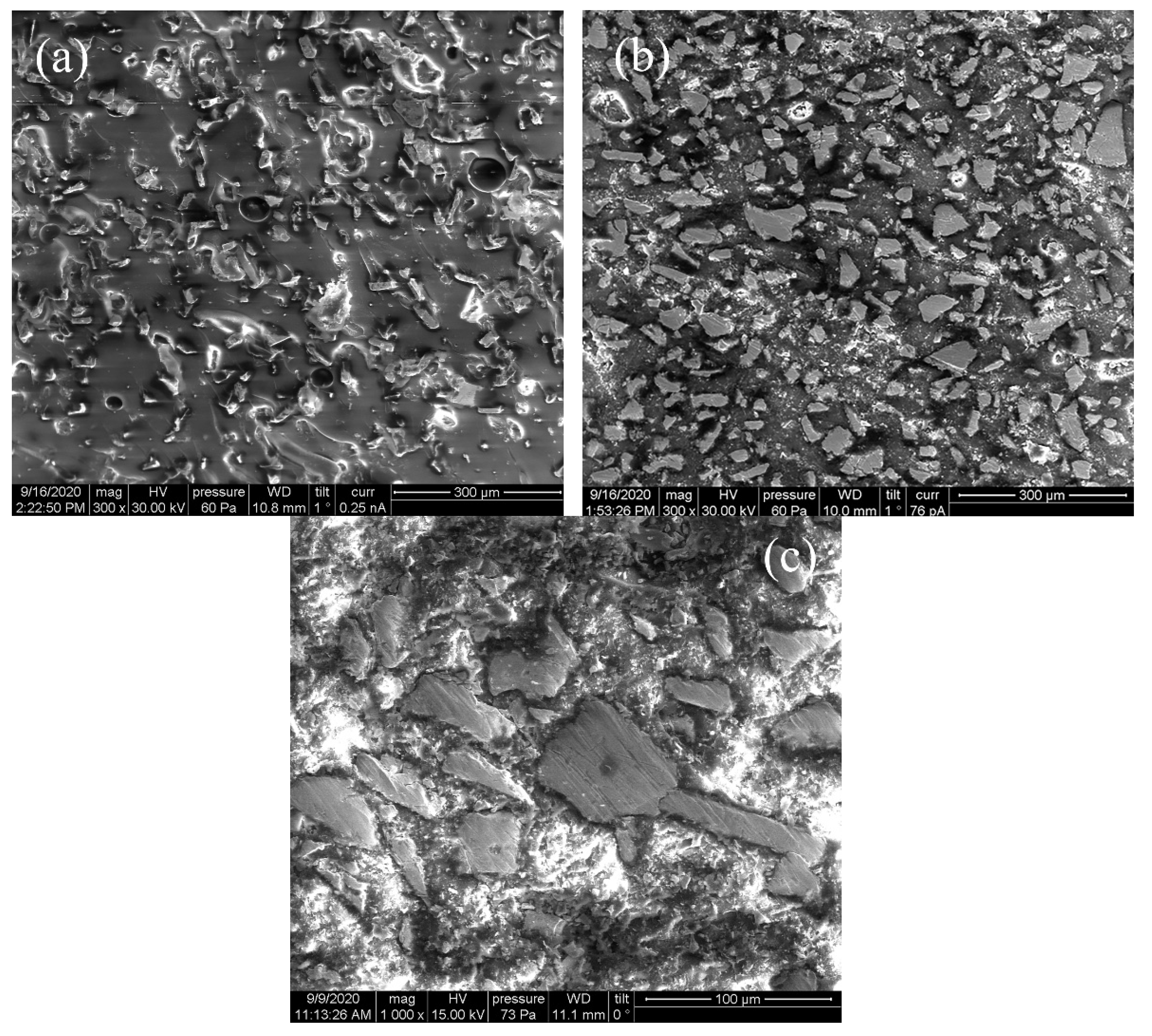 Materials 14 03499 g002