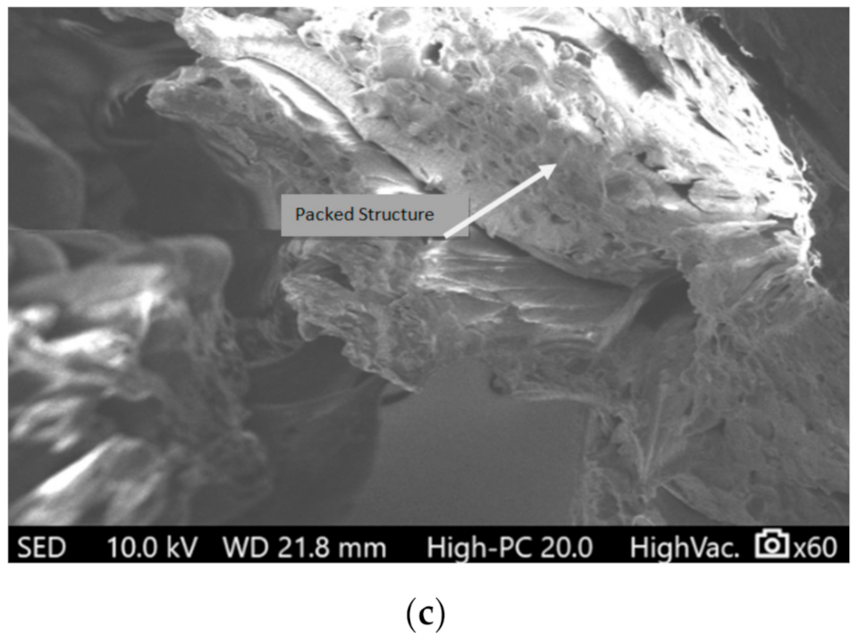 Materials 14 03504 g007b