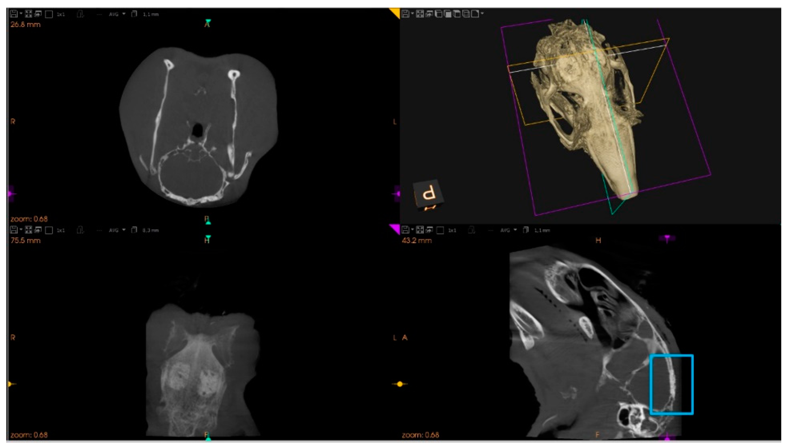 Materials 14 03512 g002 Materials 14 03512 g002