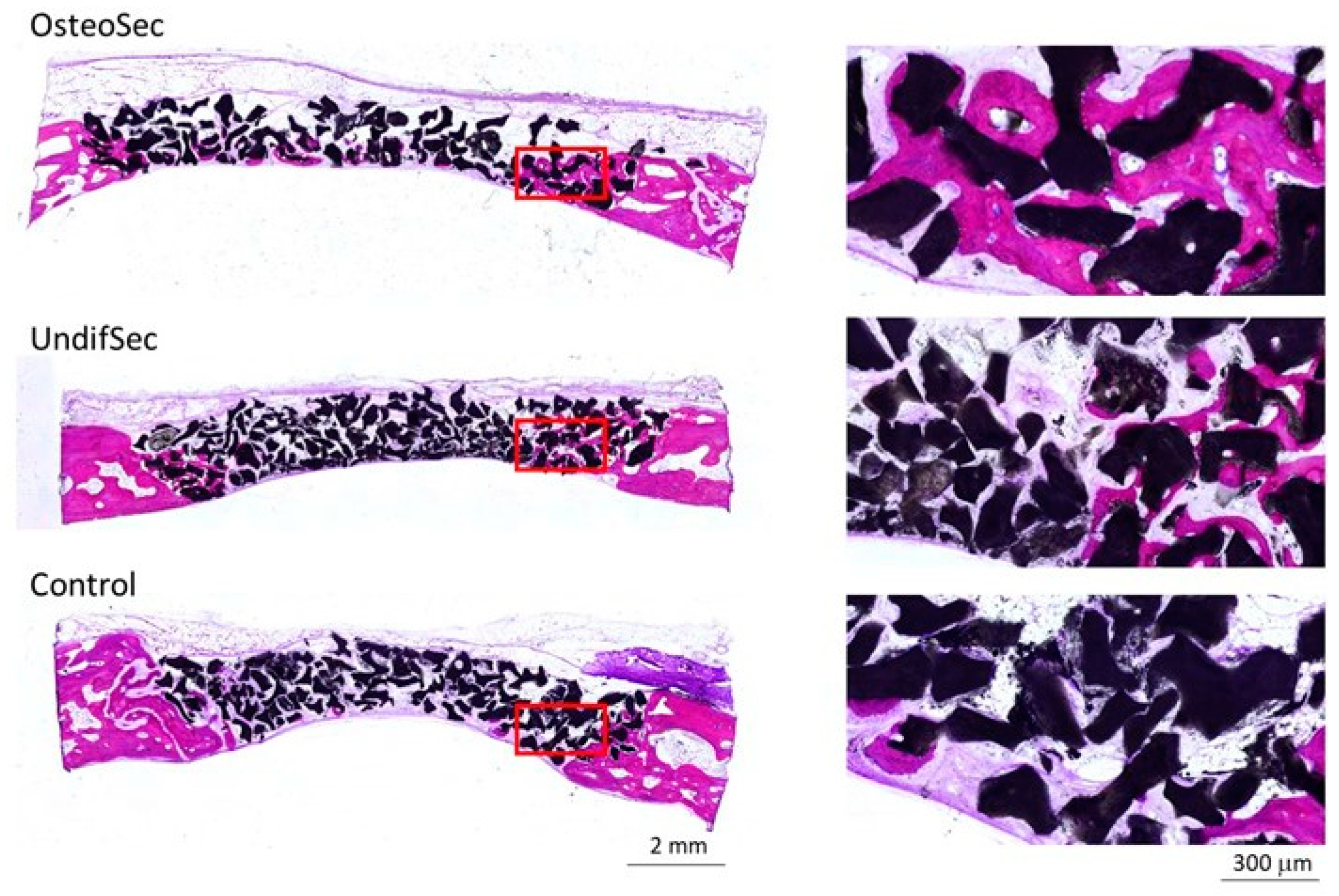 Materials 14 03512 g006 Materials 14 03512 g006