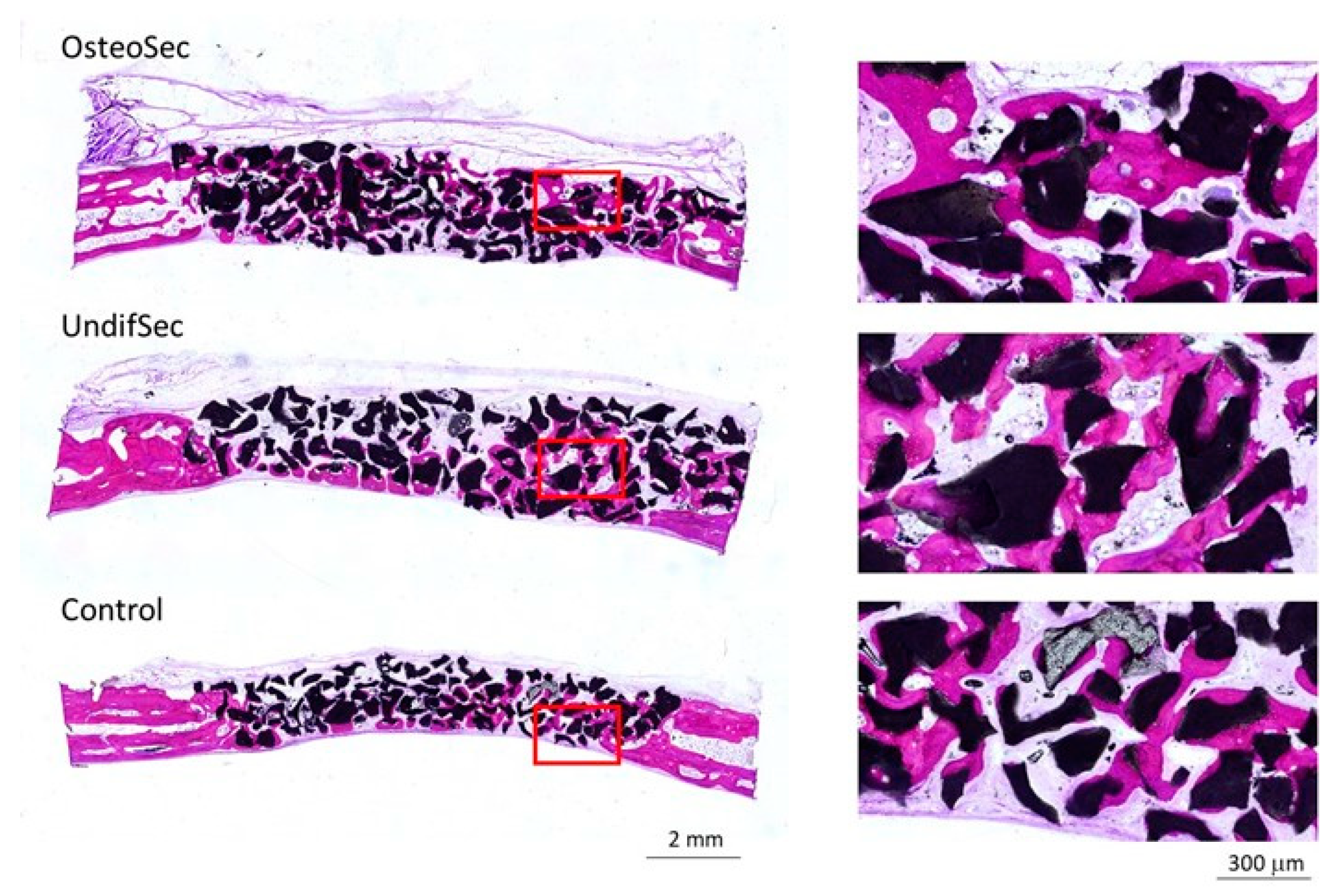 Materials 14 03512 g007 Materials 14 03512 g007