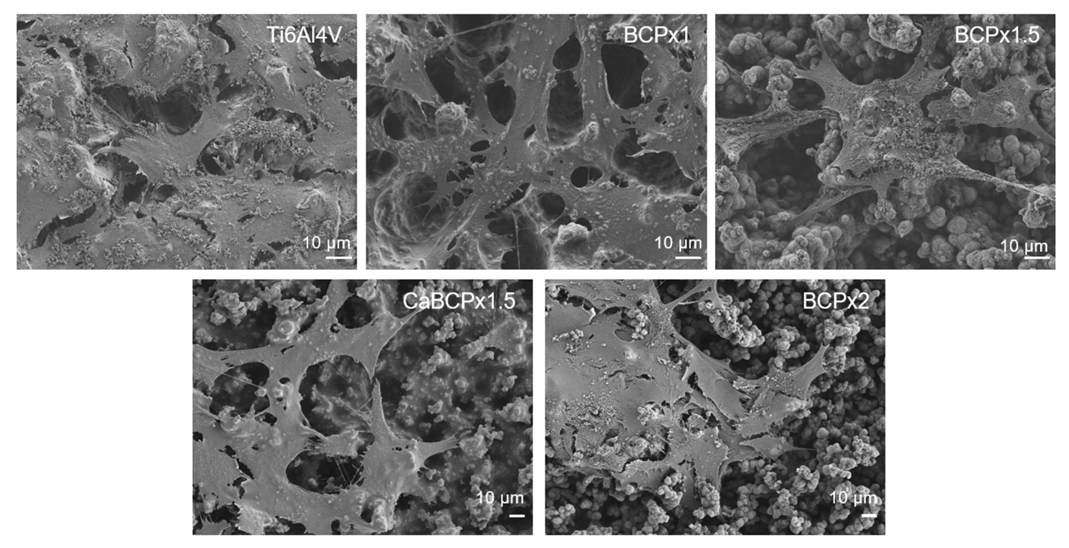 Materials 14 03516 g004