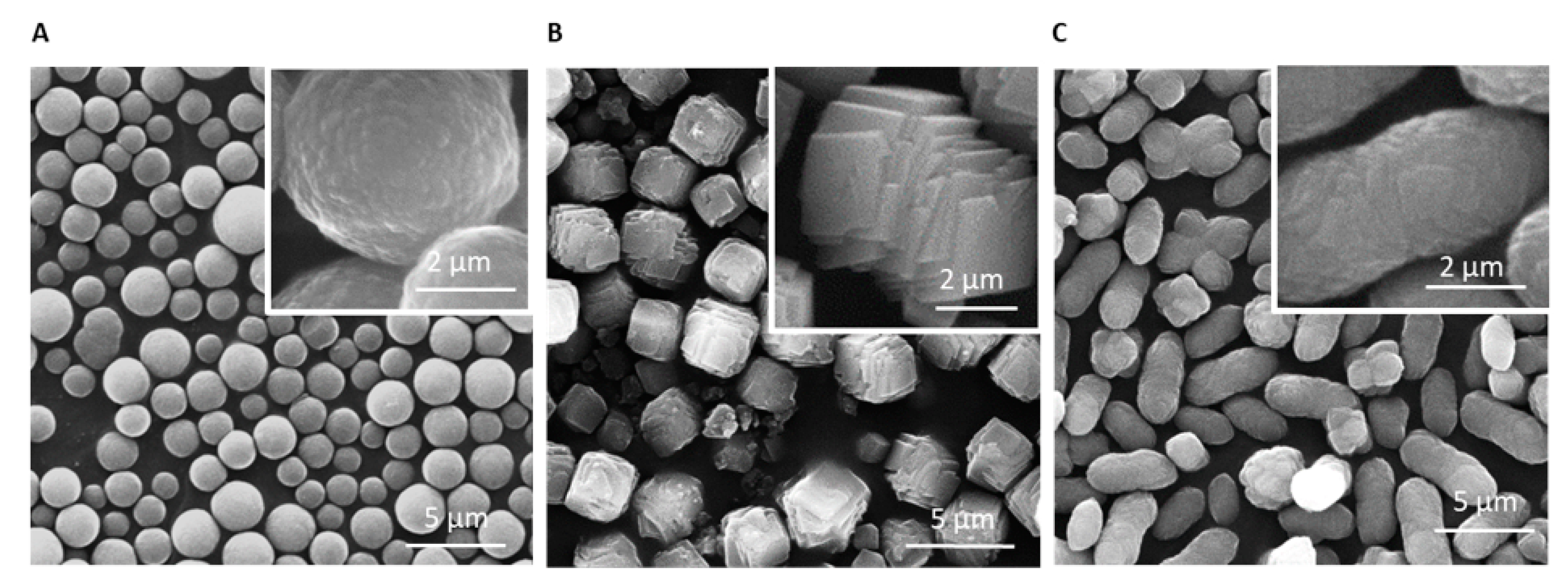 controlling-calcium-carbonate-particle-morphology-size-and-molecular