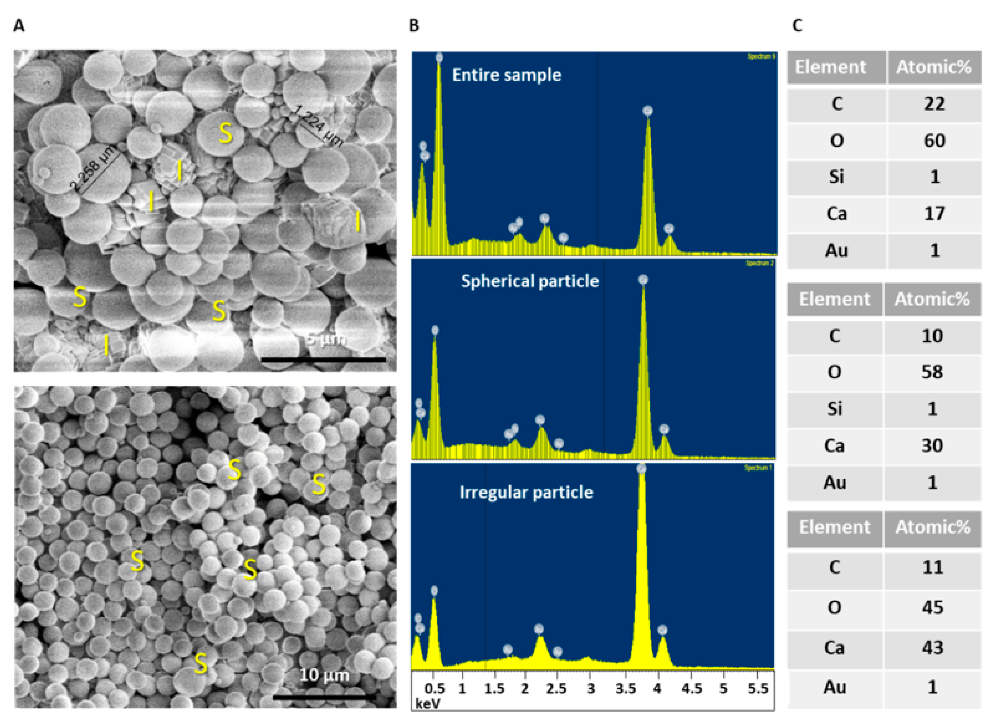Materials 14 03525 g002