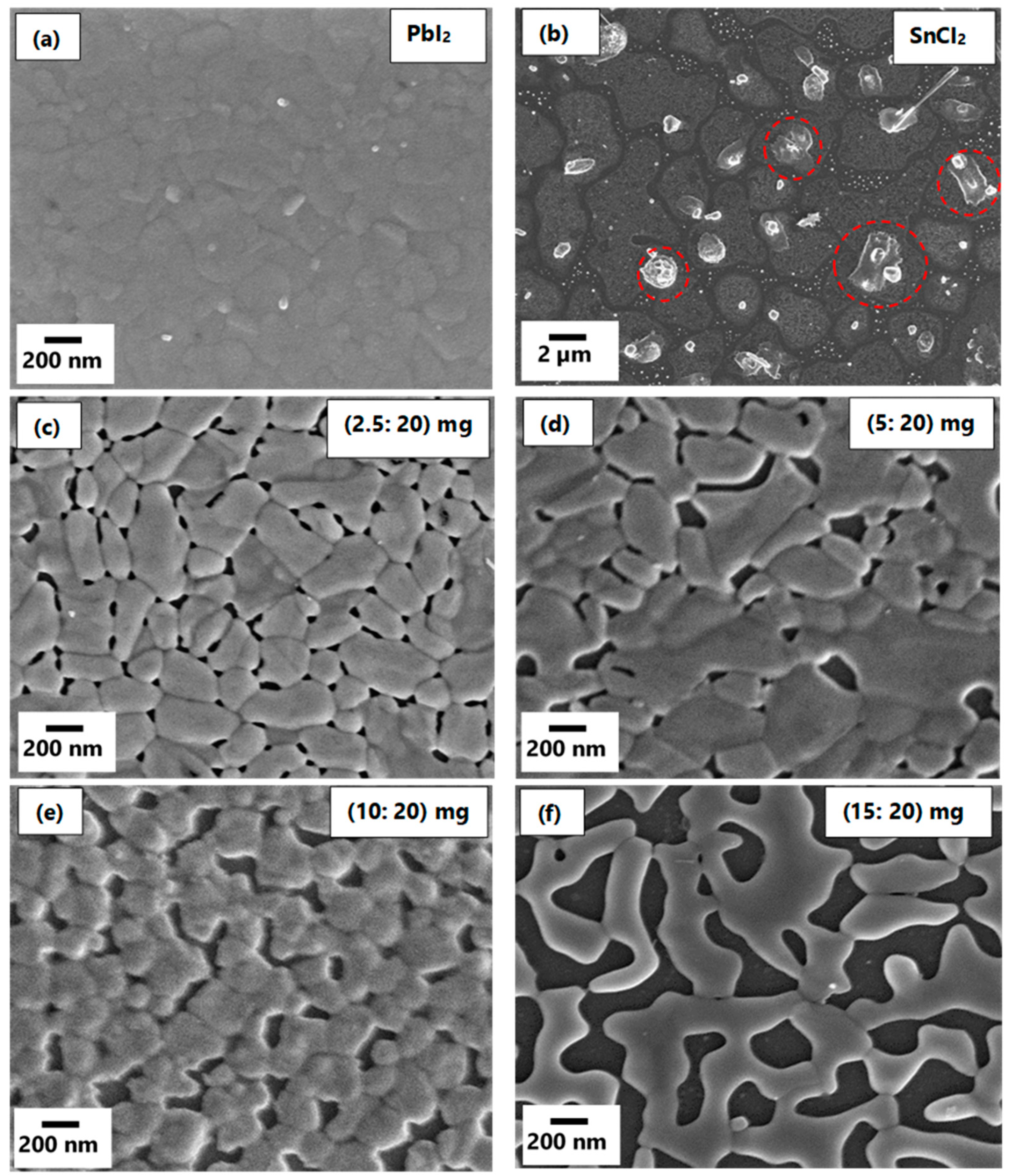 Materials 14 03526 g001