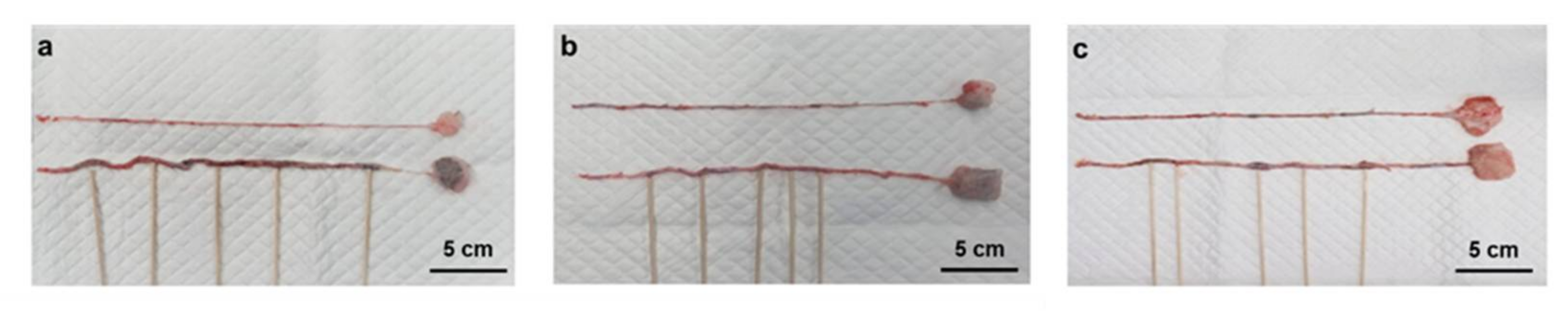 Materials 14 03527 g005