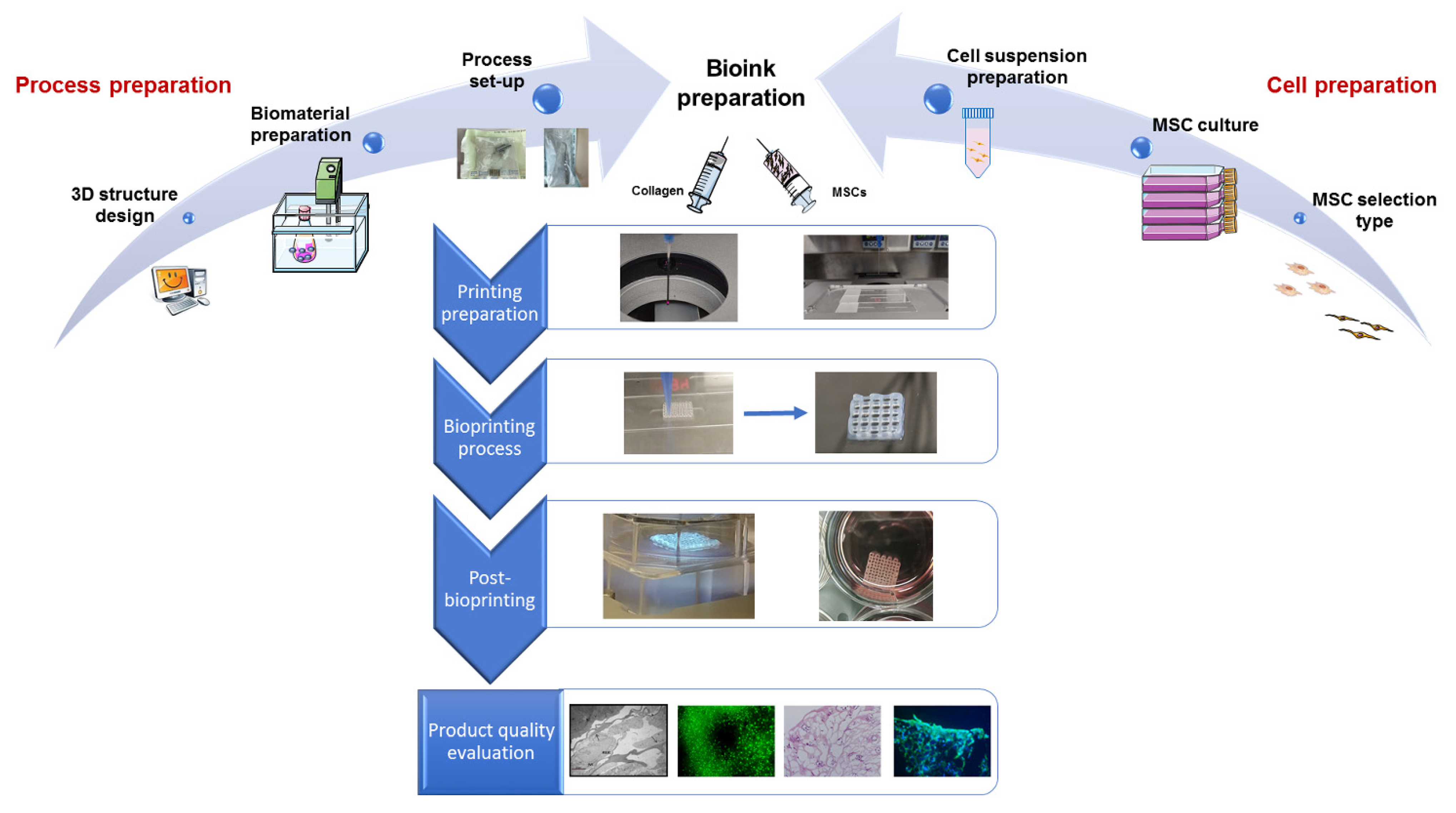 Materials 14 03528 g001 550