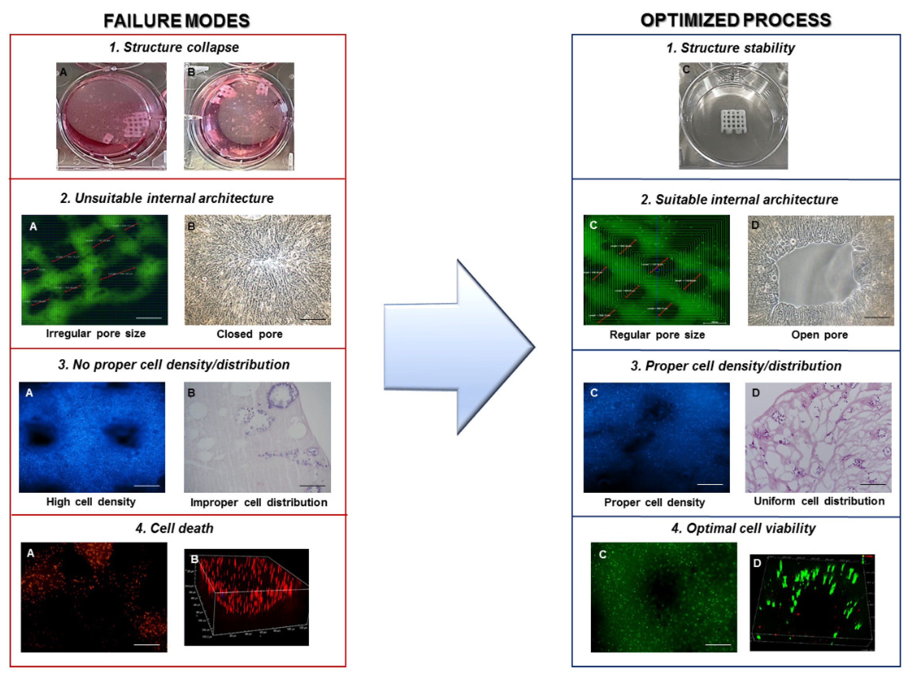 Materials 14 03528 g003 550