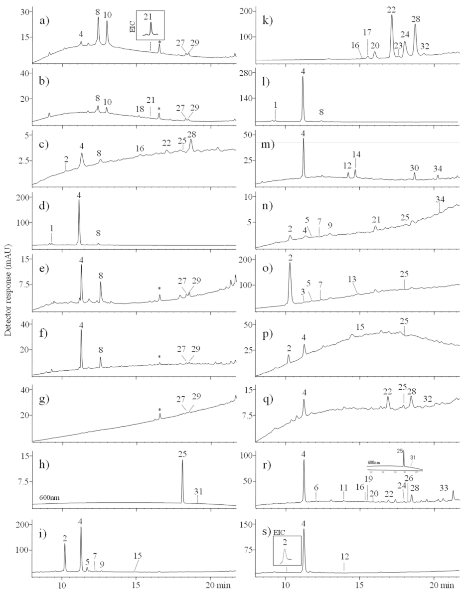 Materials 14 03535 g005