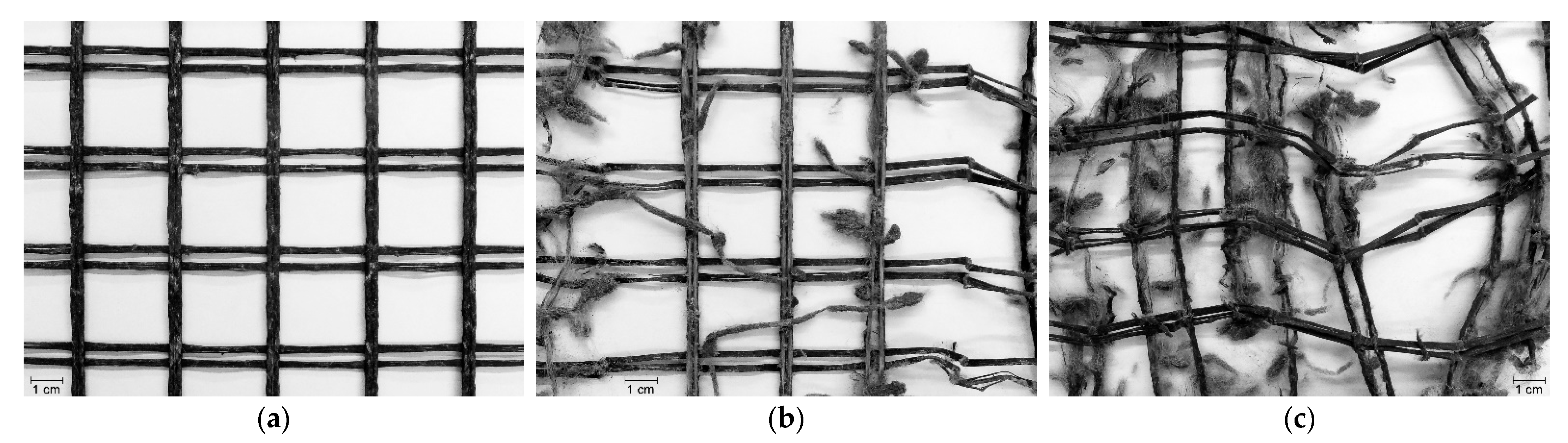 Materials 14 03544 g007 550