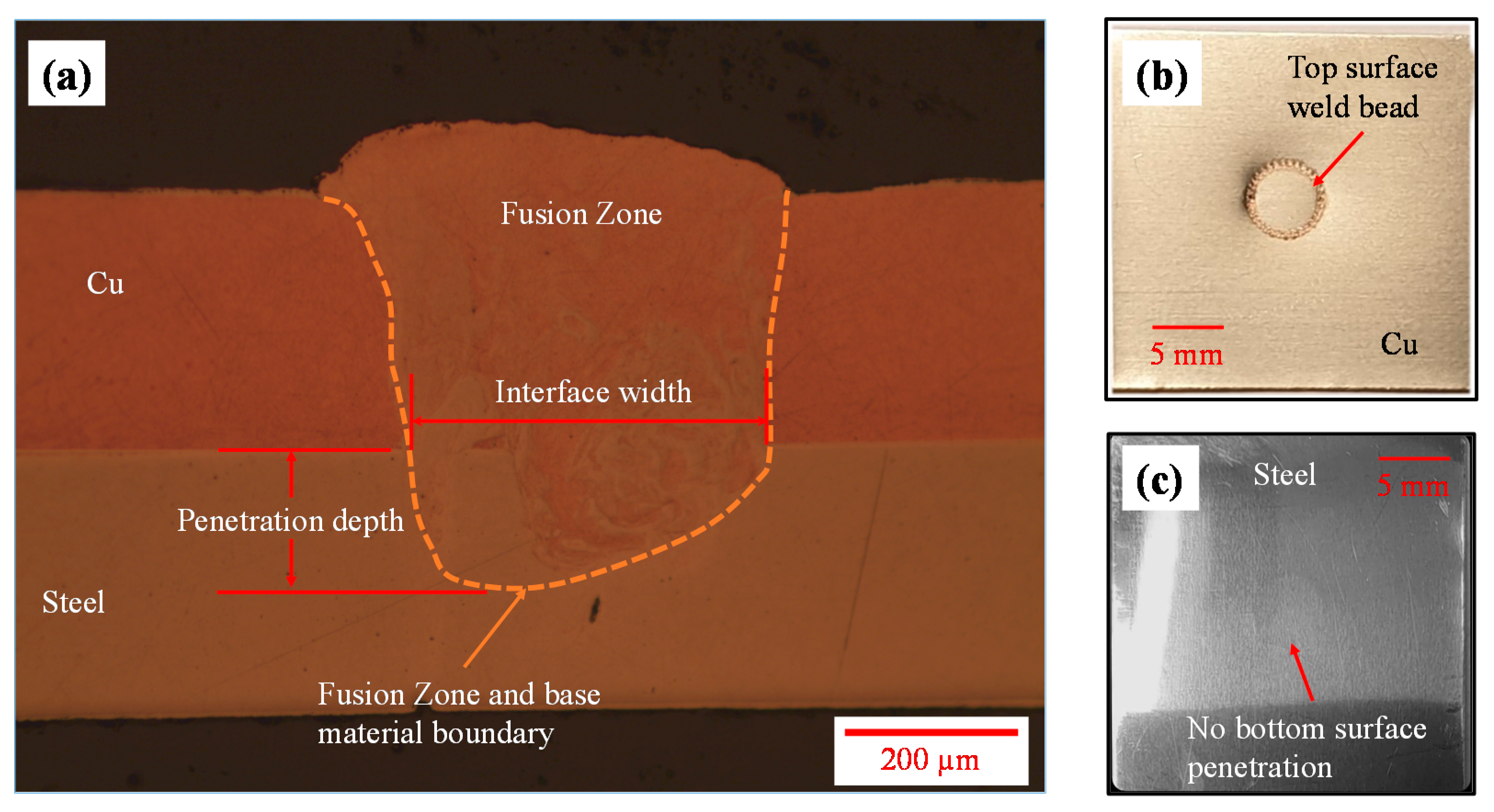 Materials 14 03552 g006 550