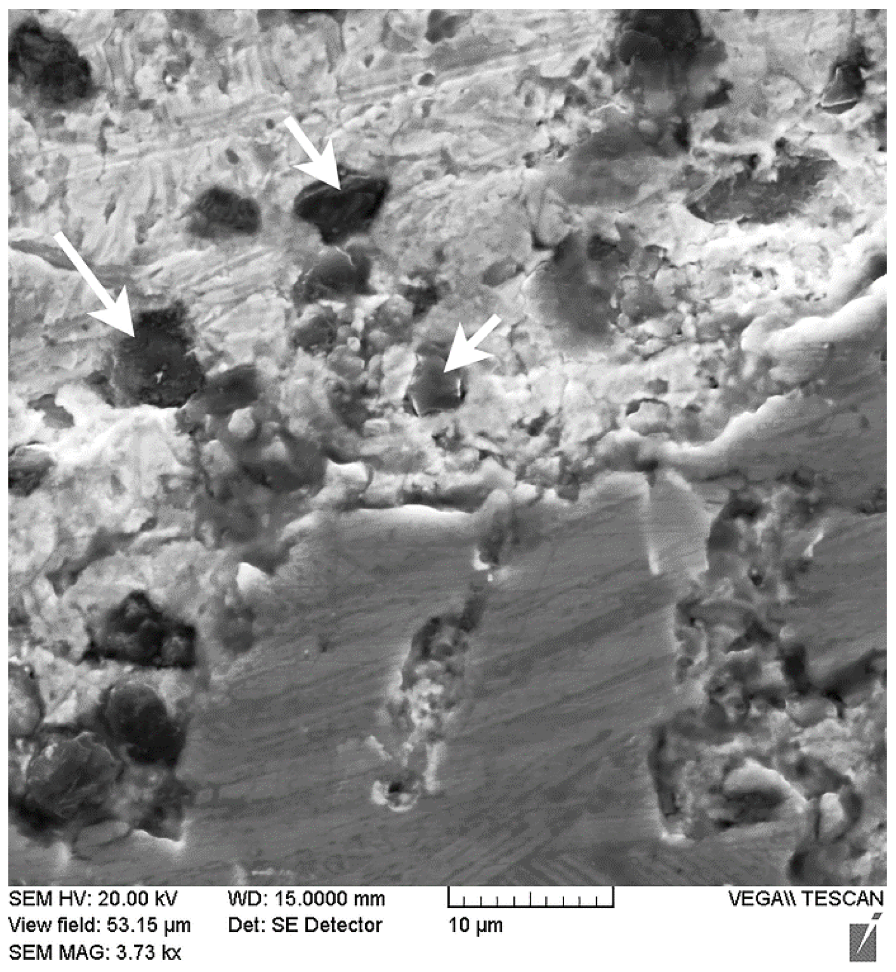 Materials 14 03555 g005 550