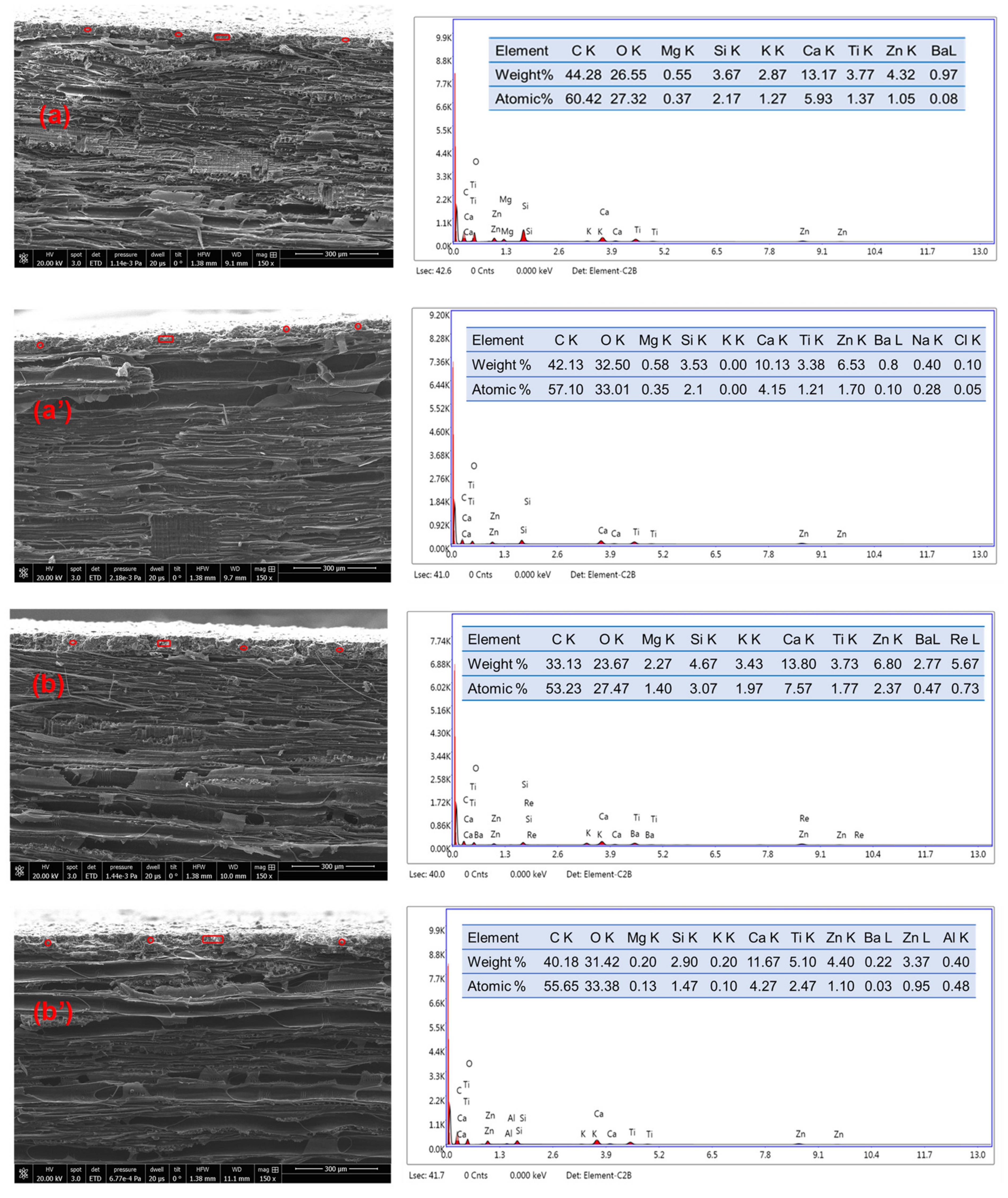 Materials 14 03559 g012
