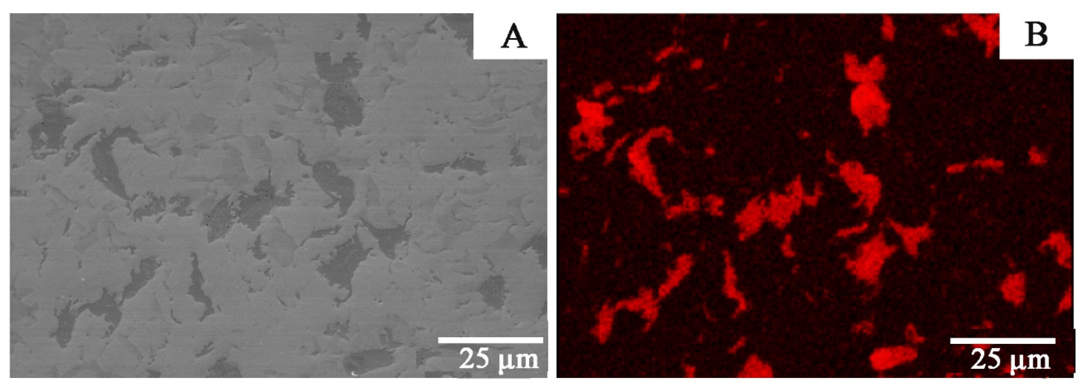 Materials 14 03560 g004