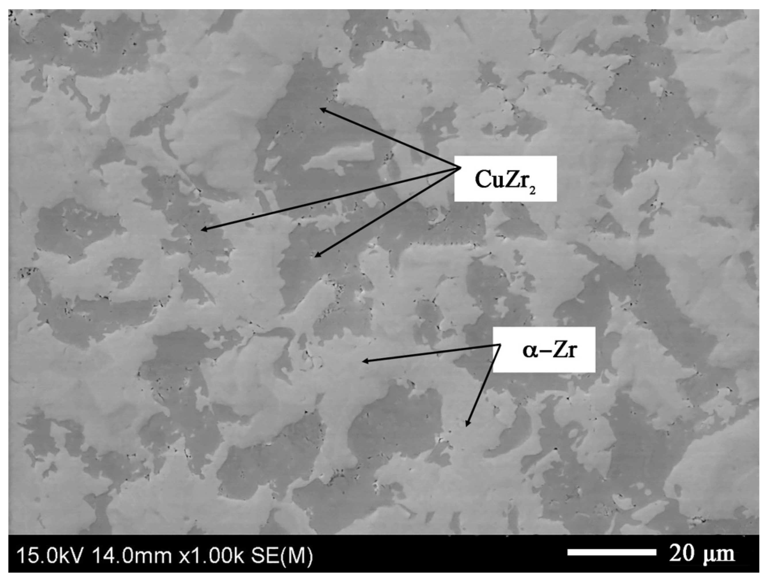 Materials 14 03560 g006