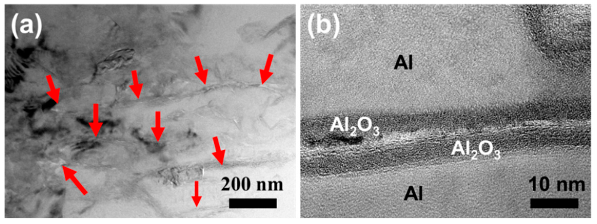 Materials 14 03561 g010