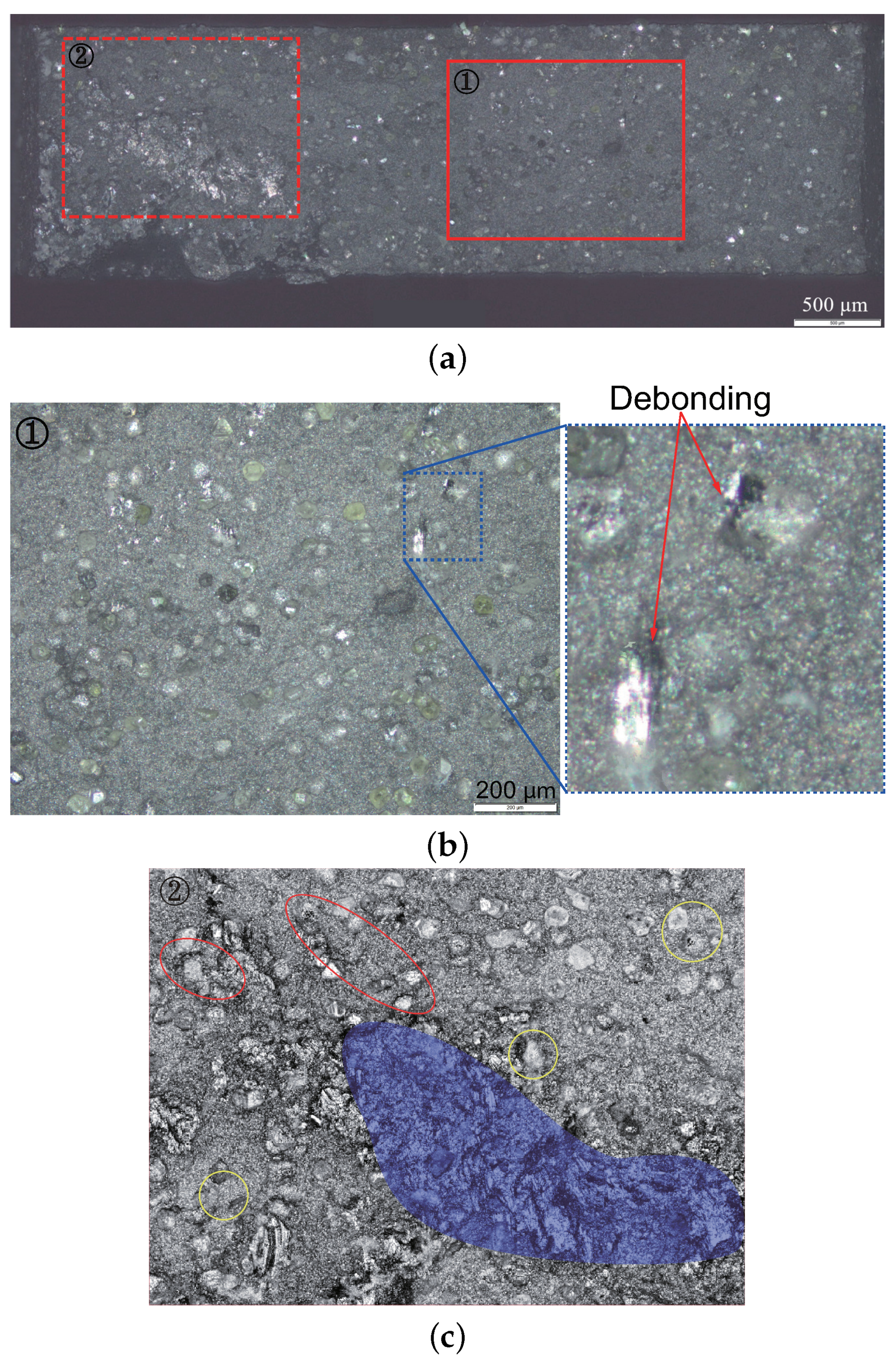 Materials 14 03562 g005