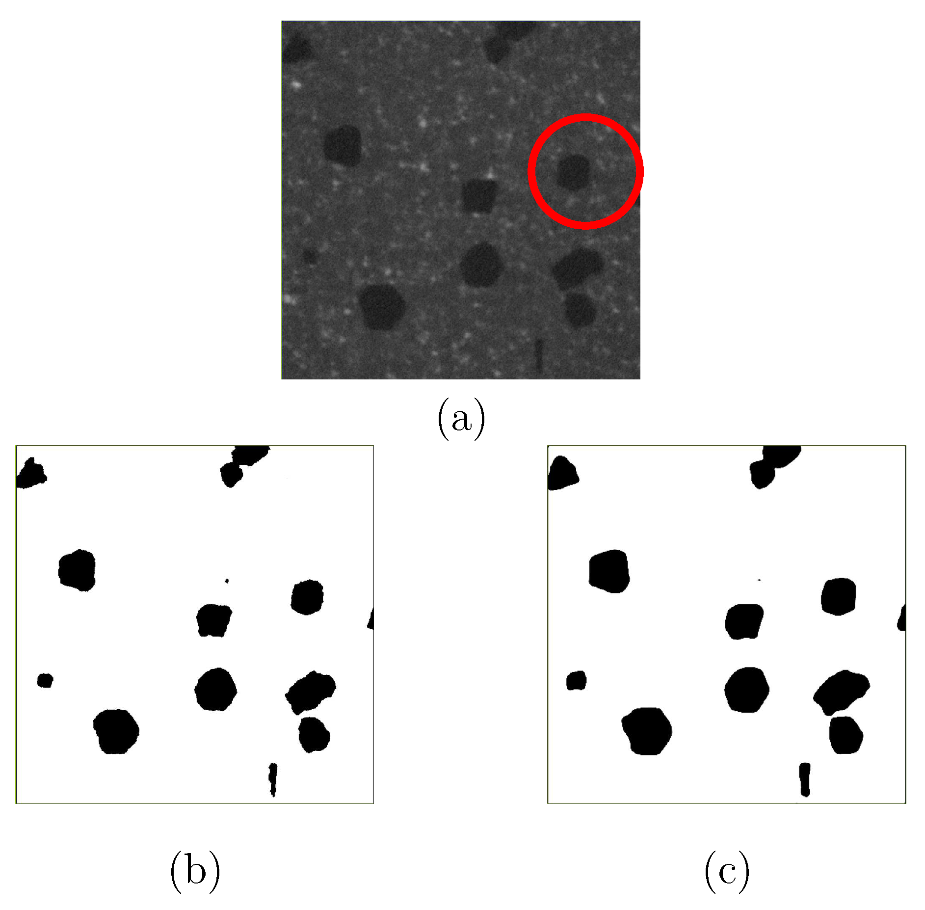 Materials 14 03562 g012