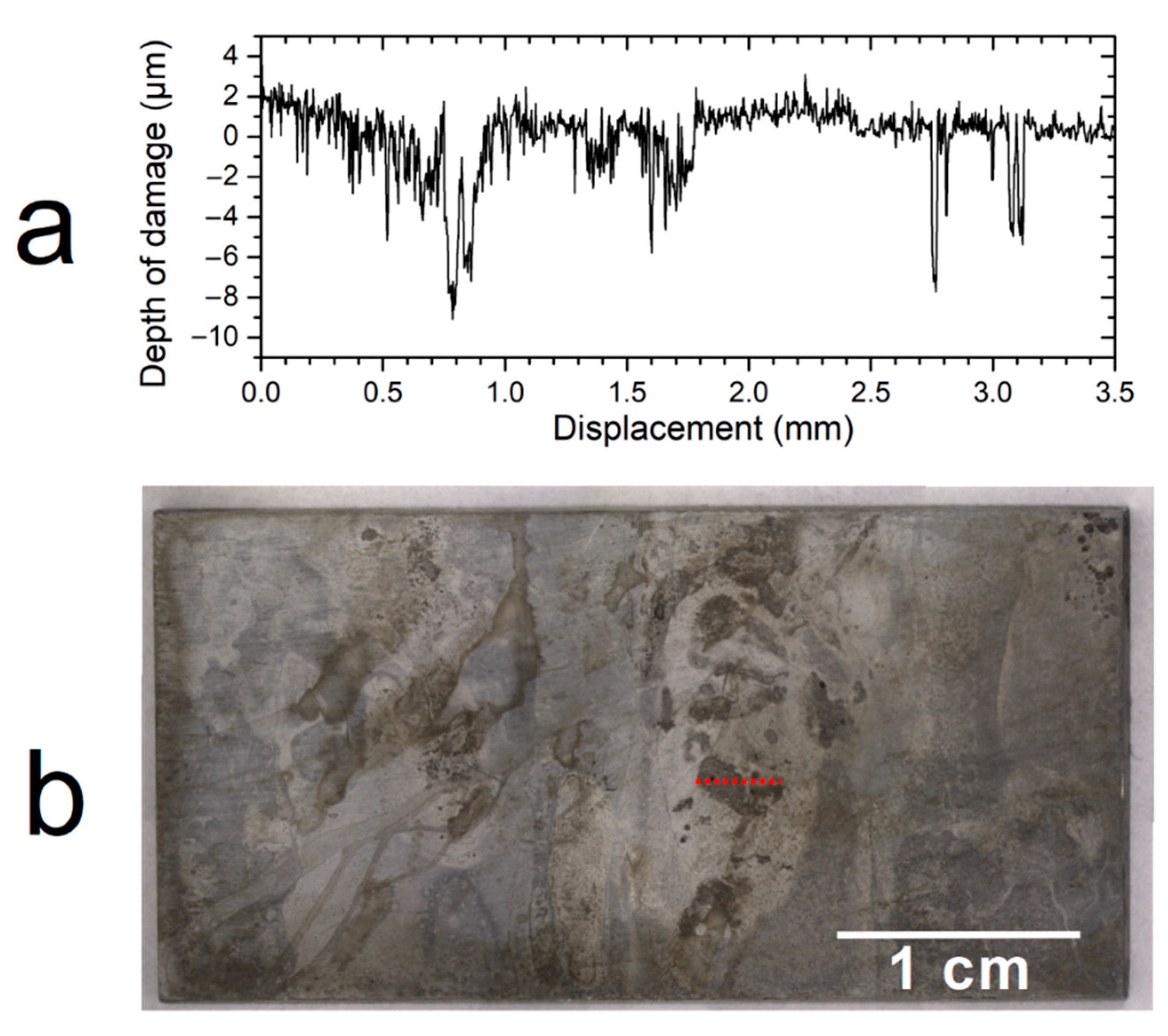 Materials 14 03563 g005 550