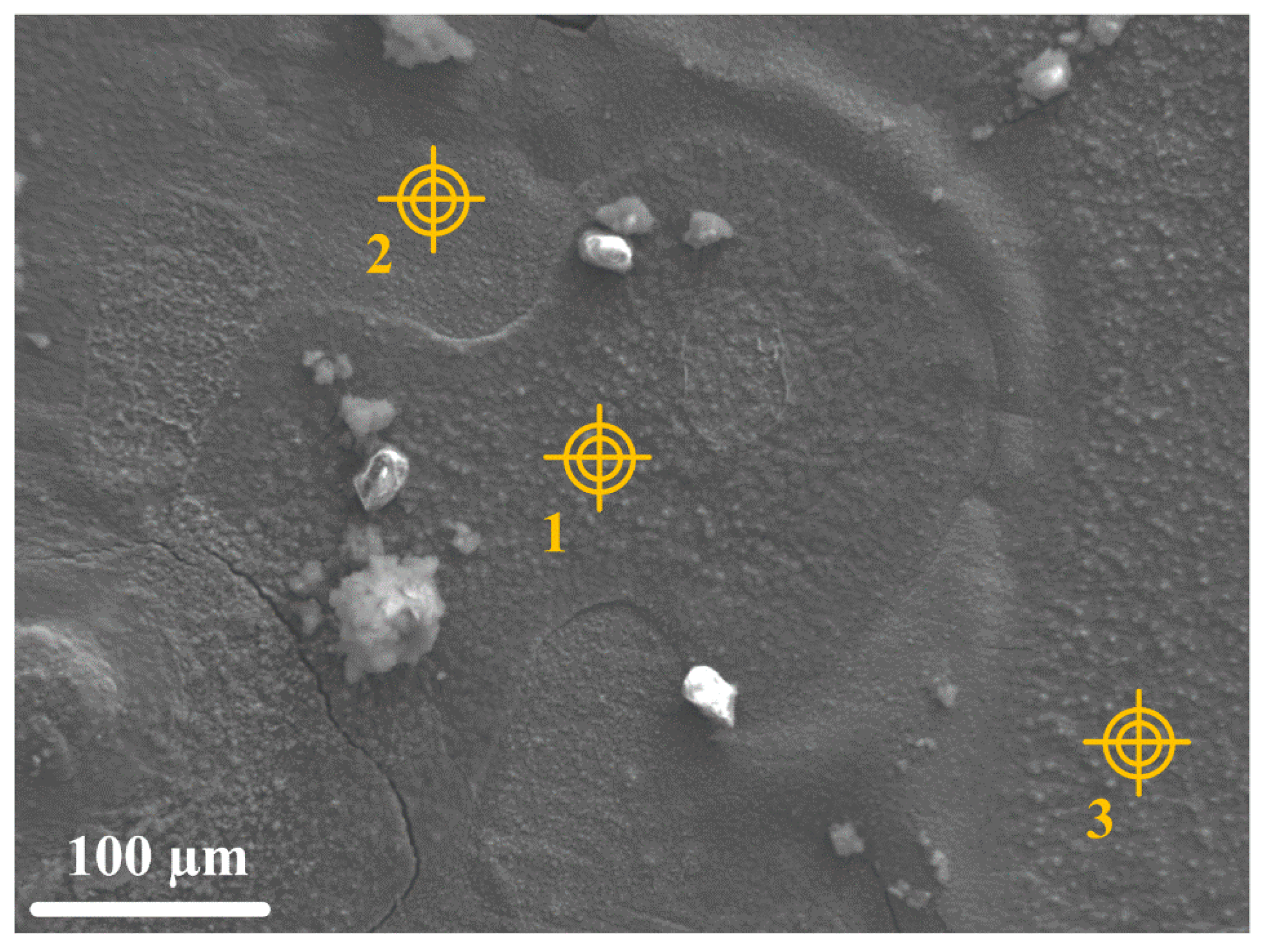 Materials 14 03563 g007 550