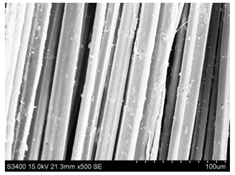 Materials 14 03564 i003