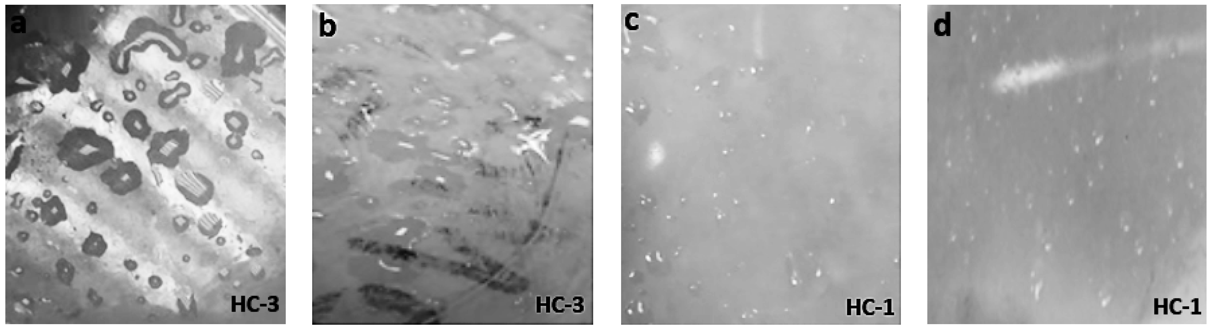 Materials 14 03567 g006