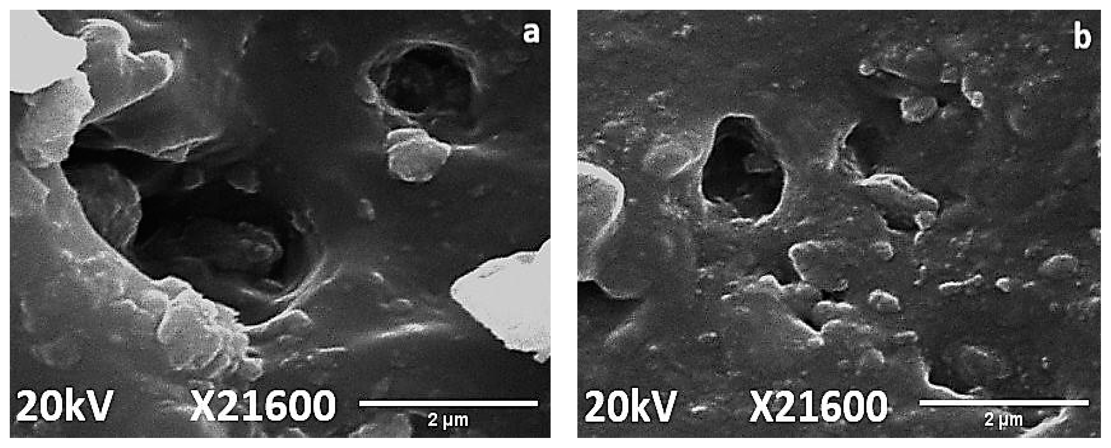 Materials 14 03567 g011a