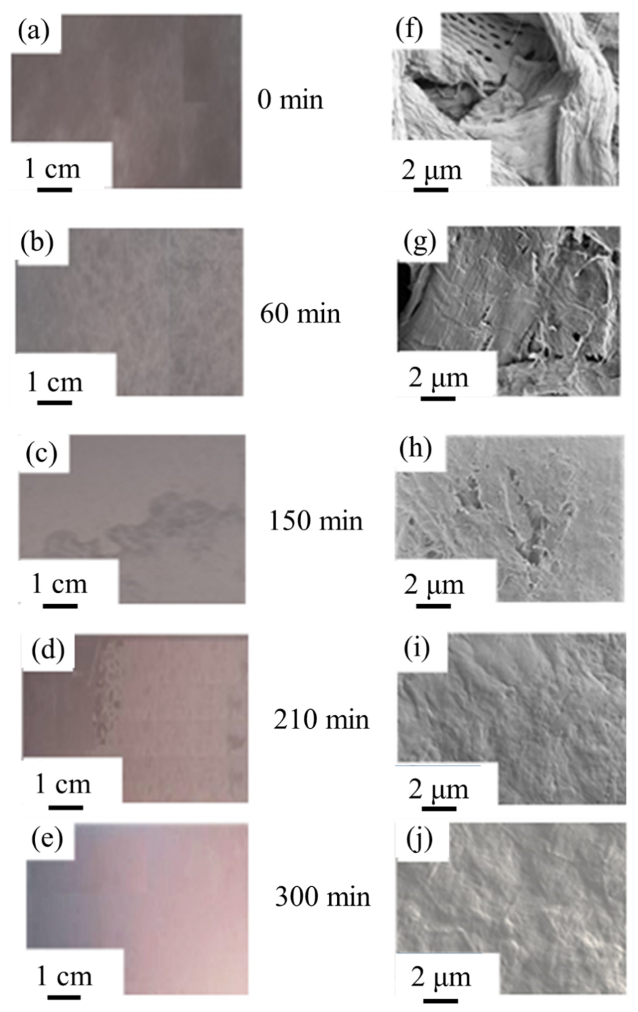 Materials 14 03571 g007 Materials 14 03571 g007
