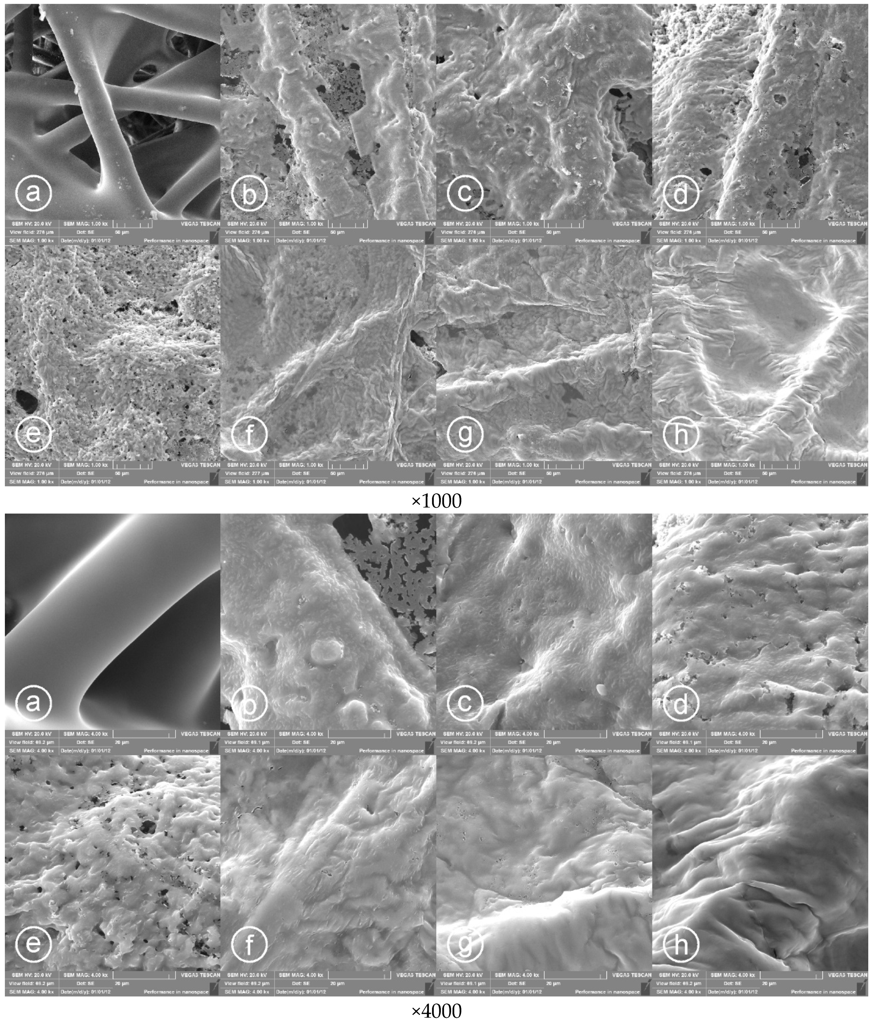 Materials 14 03577 g004 Materials 14 03577 g004