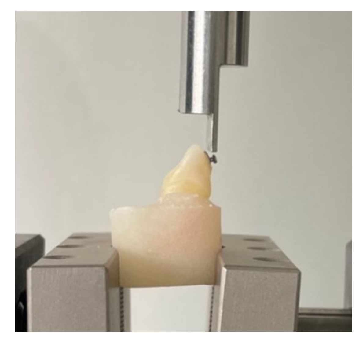 Materials 14 03578 g001 550