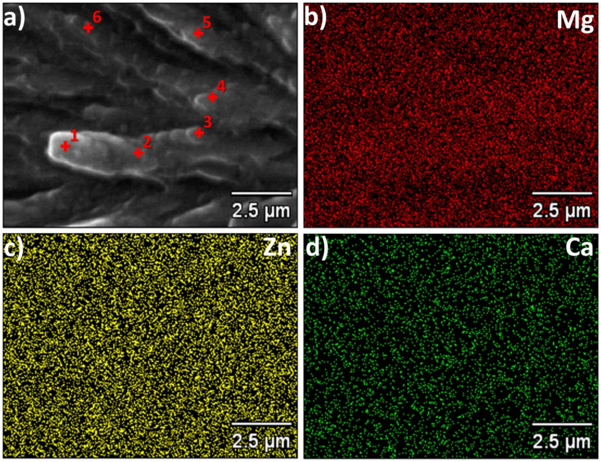 Materials 14 03583 g003 550