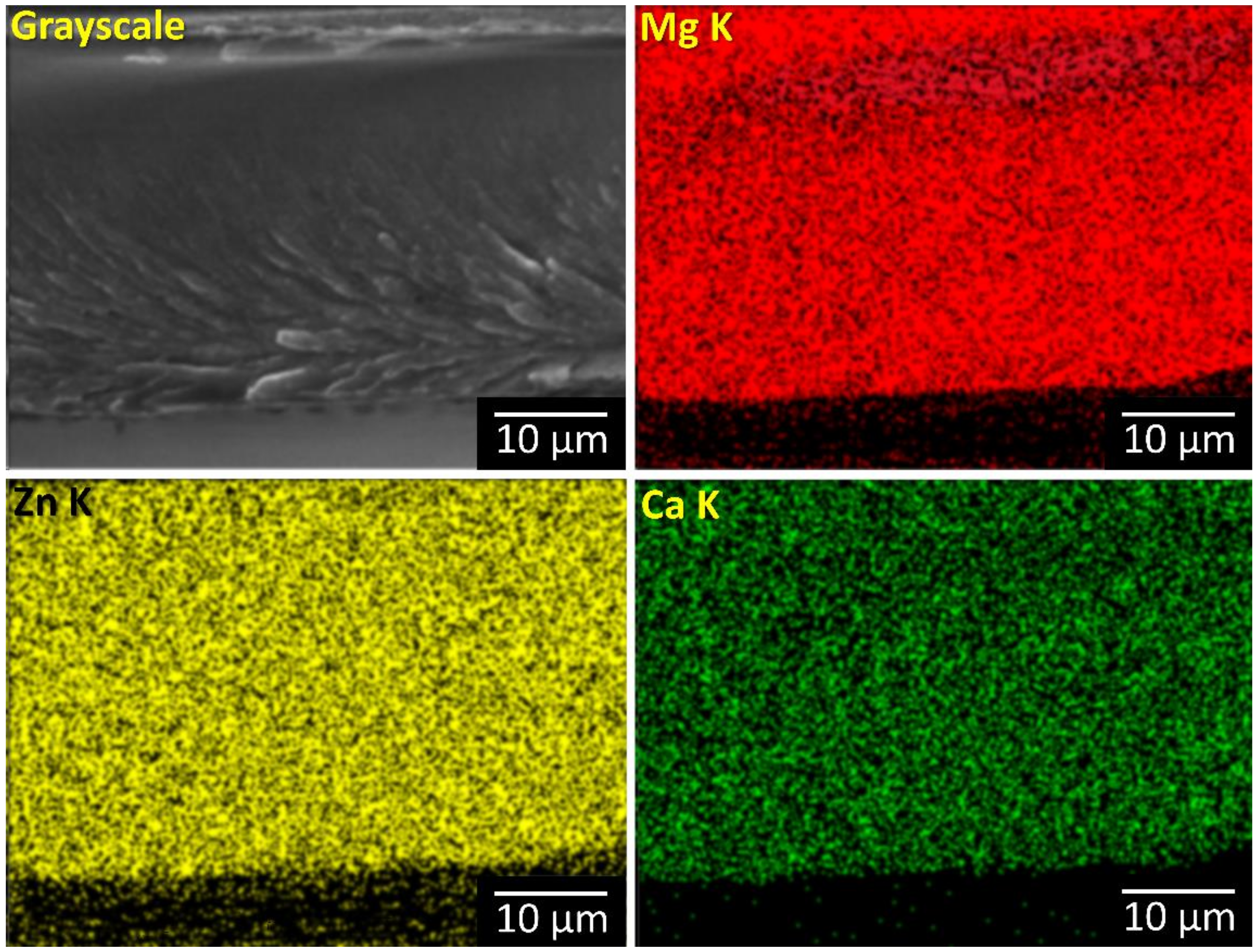 Materials 14 03583 g004 550