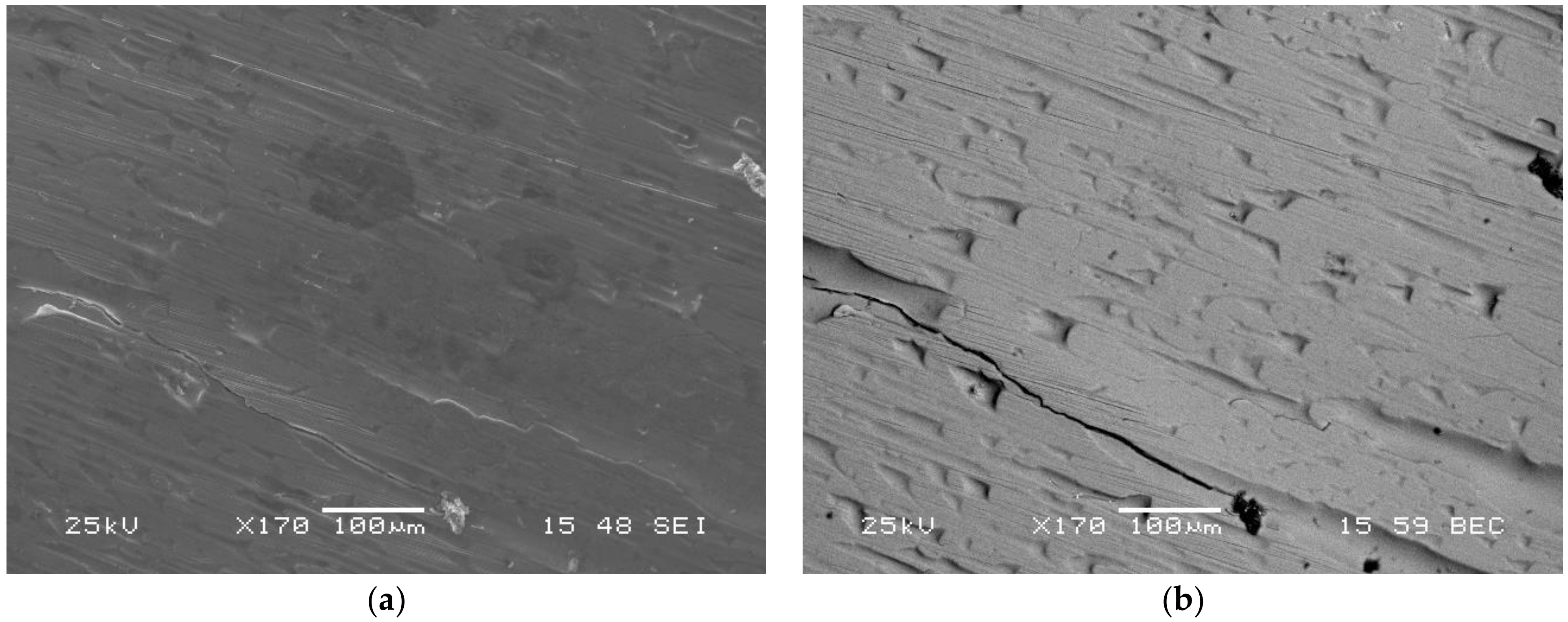 Materials 14 03583 g005 550