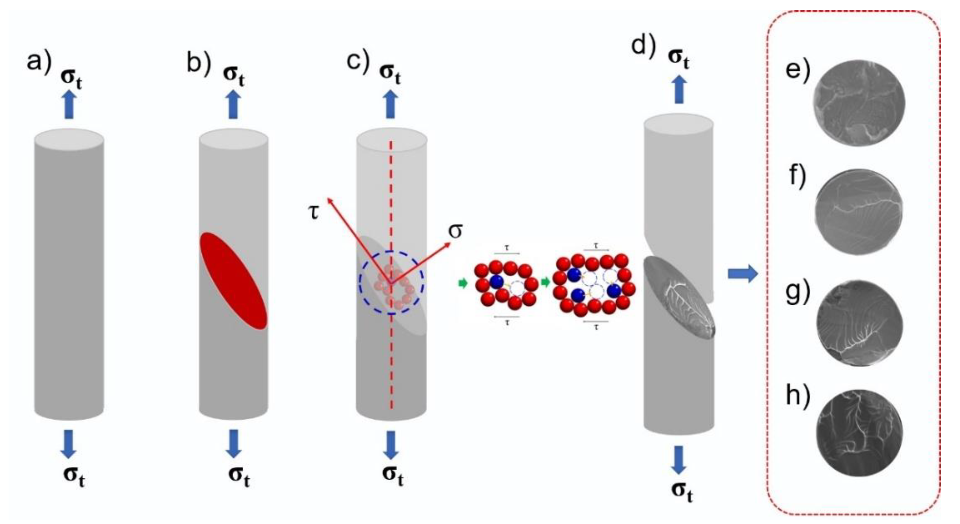 【訳あり】 Enhancement of Performances Mechanical Tensile and Magnetic デュエルマスターズ