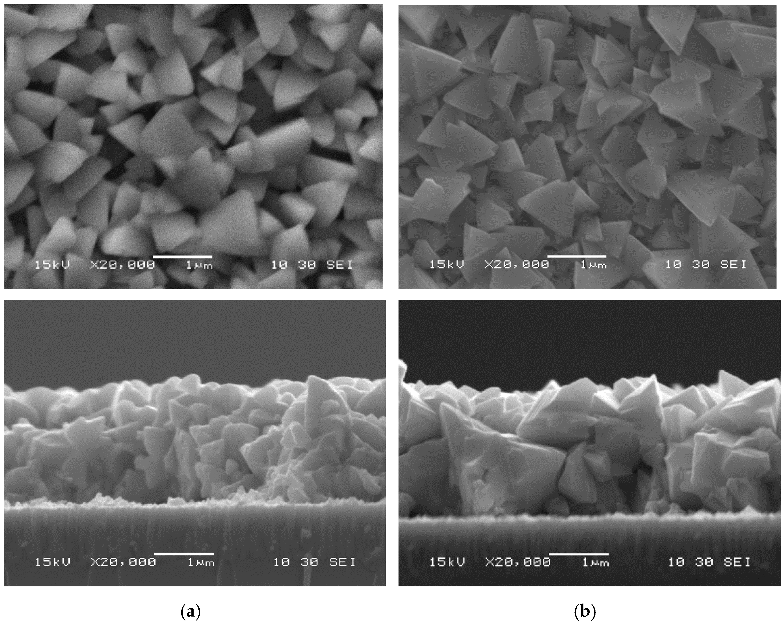 Materials 14 03596 g004 550