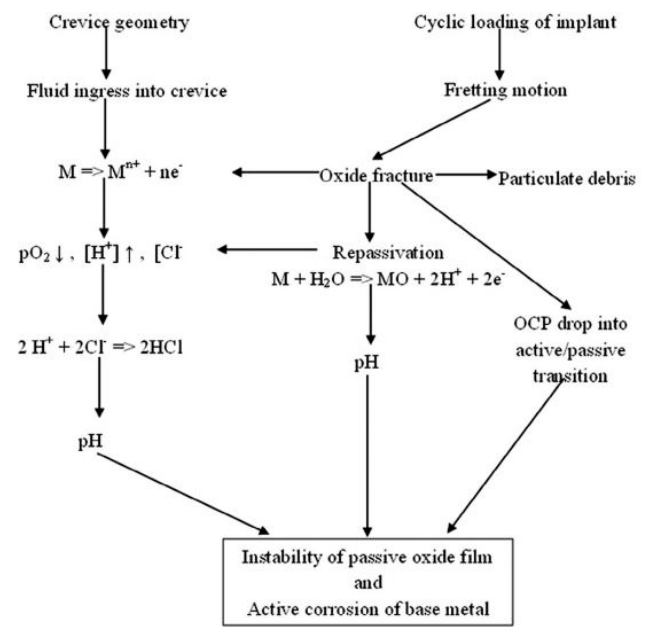 Materials 14 03597 g007